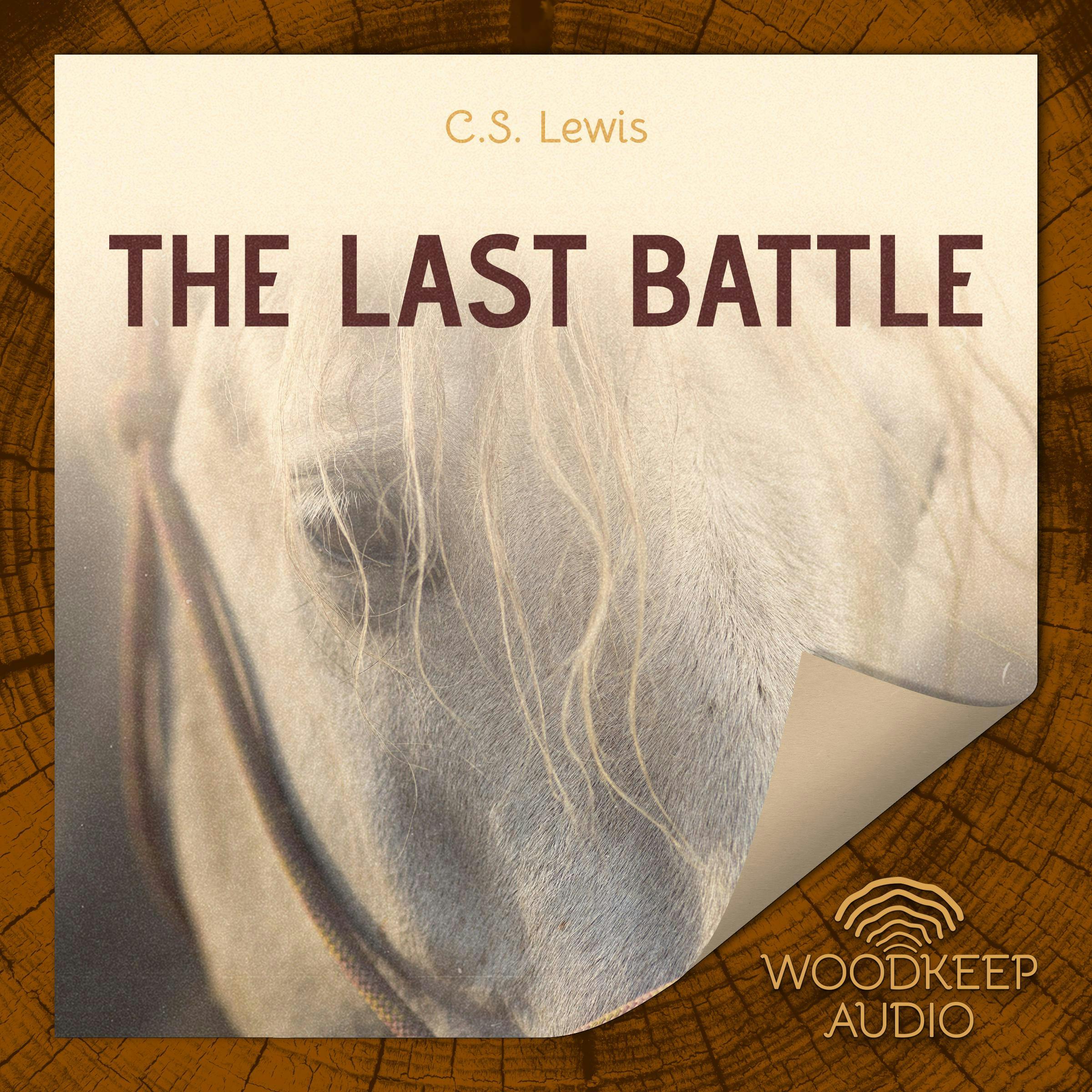 The Last Battle - undefined