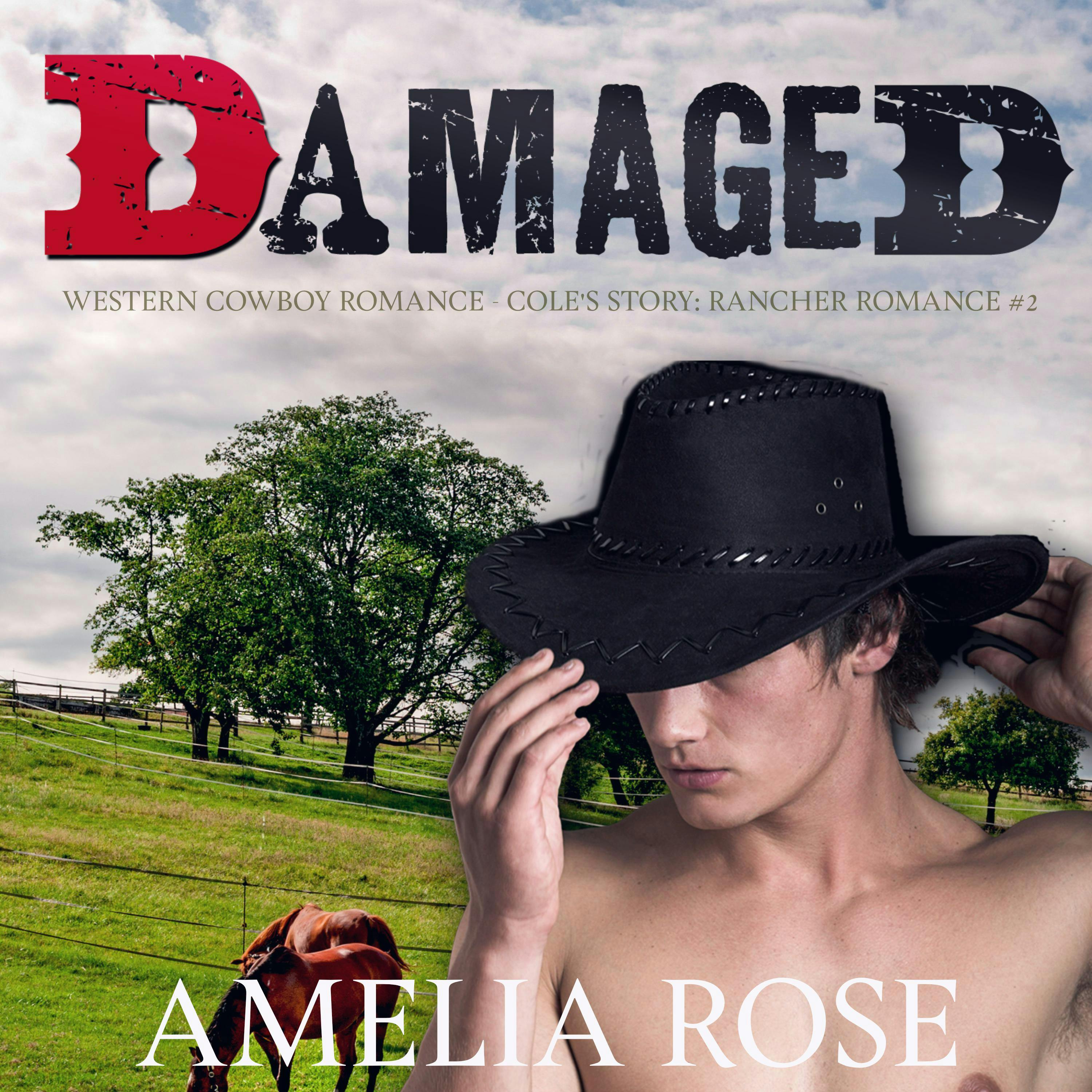Damaged: Western Cowboy Romance - Darrell's story - Amelia Rose