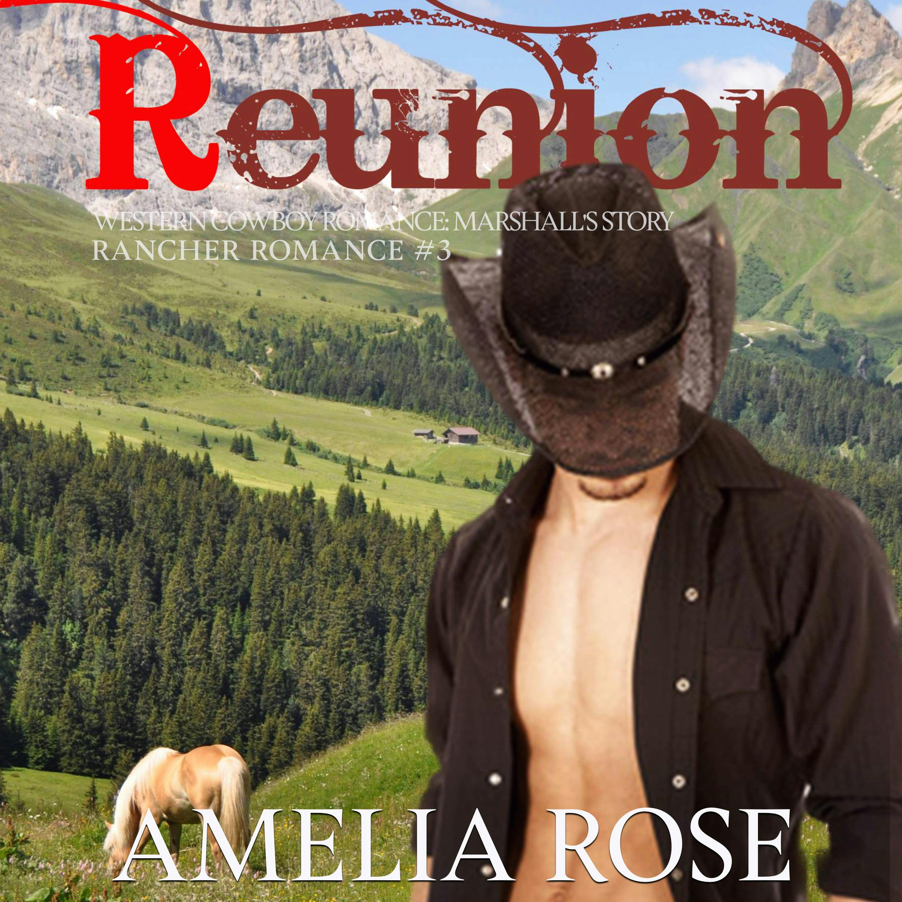 Reunion: Western Cowboy Romance - Marshall's story - Amelia Rose