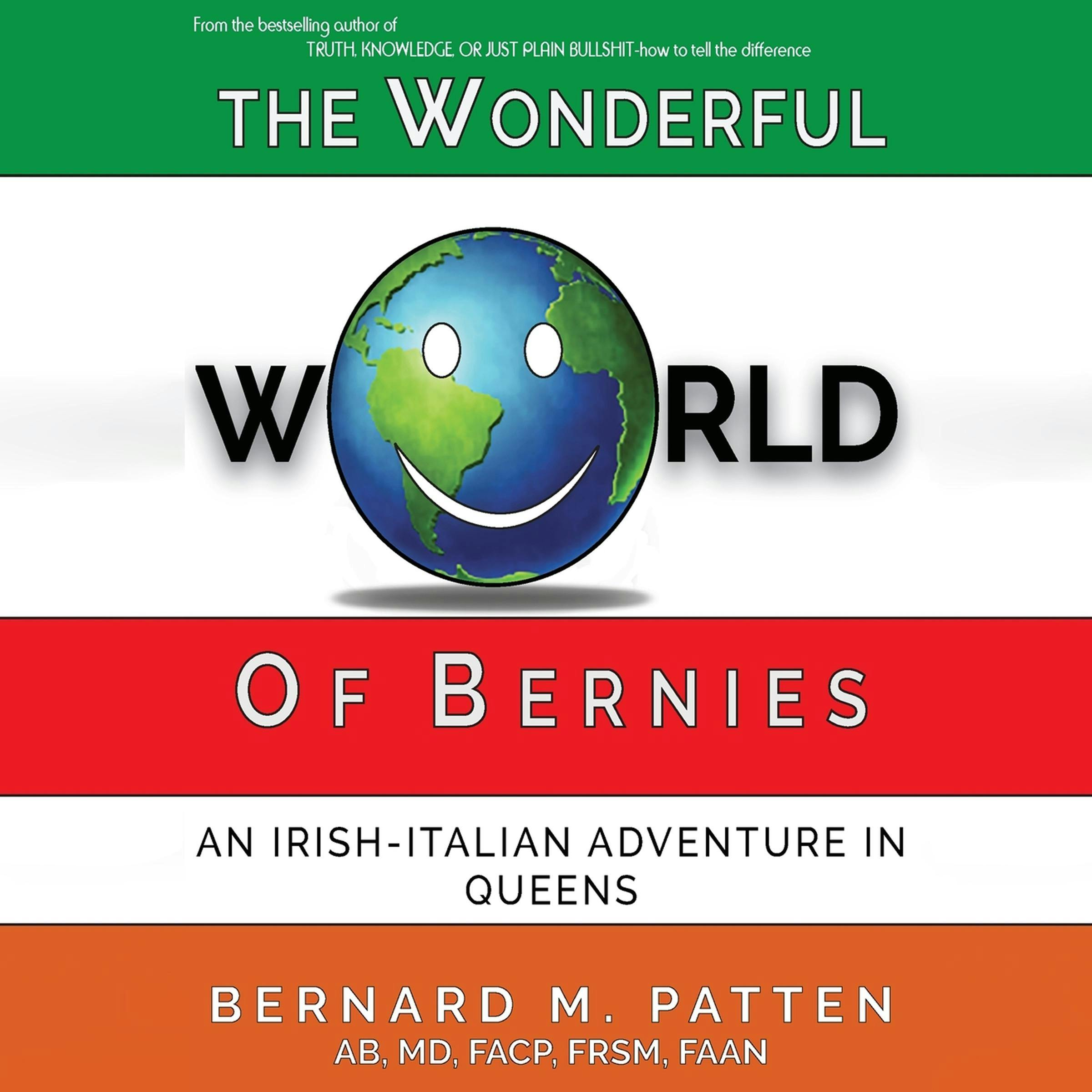 The Wonderful World of Bernies: An Irish-Italian Adventure in Queens - Bernard M. Patten