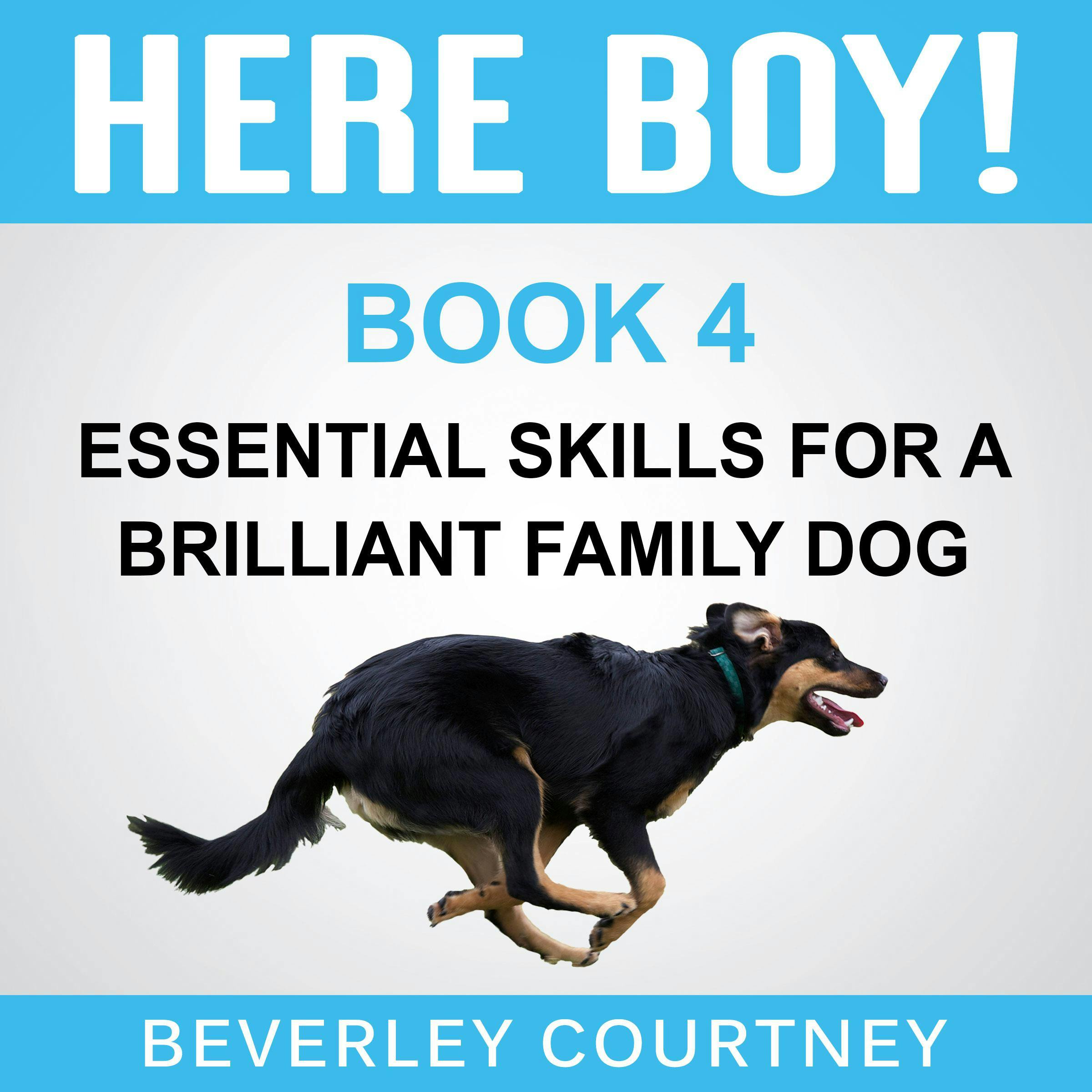 Here Boy! Essential Skills for a Brilliant Family Dog, Book 4: Step-By-Step to a Stunning Recall from Your Brilliant Family Dog - undefined