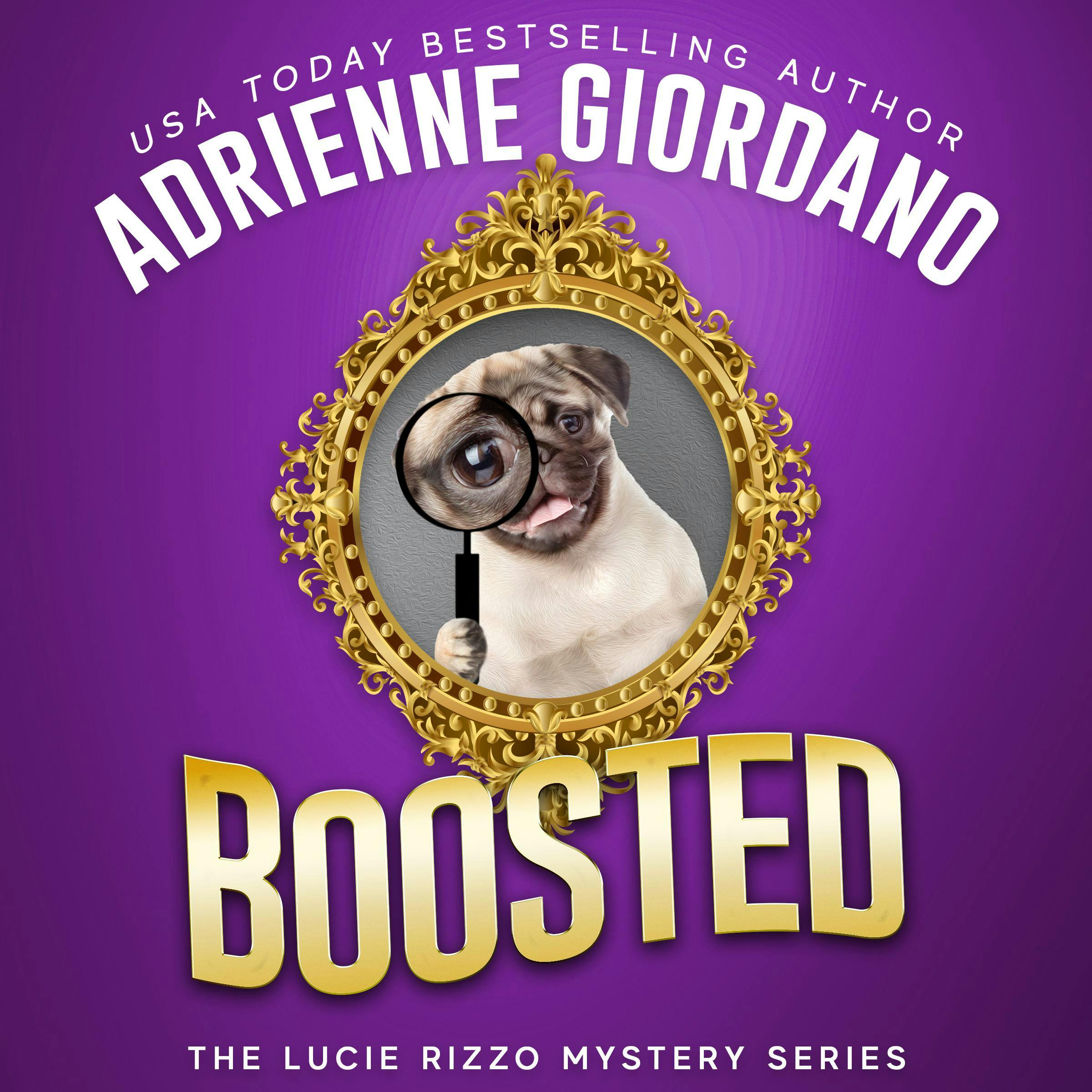 Boosted: A Cozy Couture Romantic Crime Comedy - Adrienne Giordano