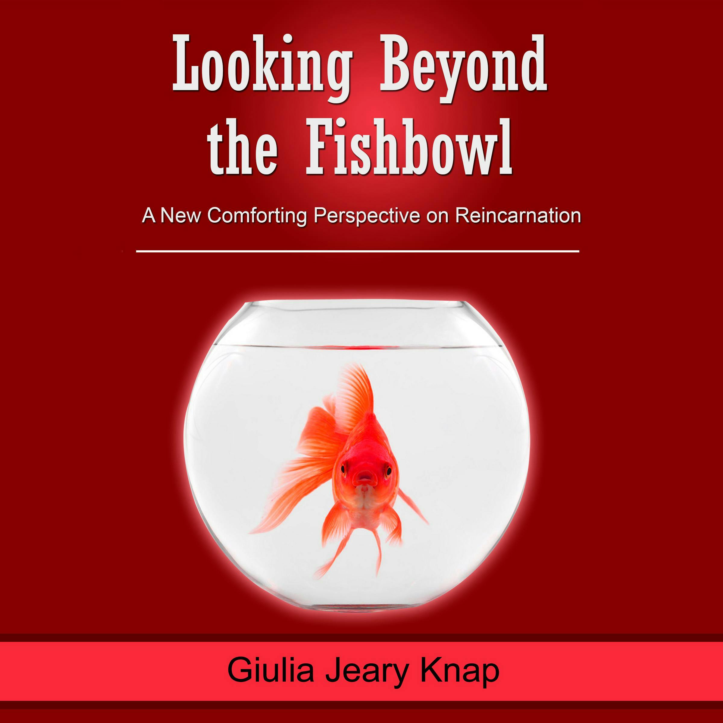 Looking Beyond the Fishbowl: A New Comforting Perspective on Reincarnation - undefined