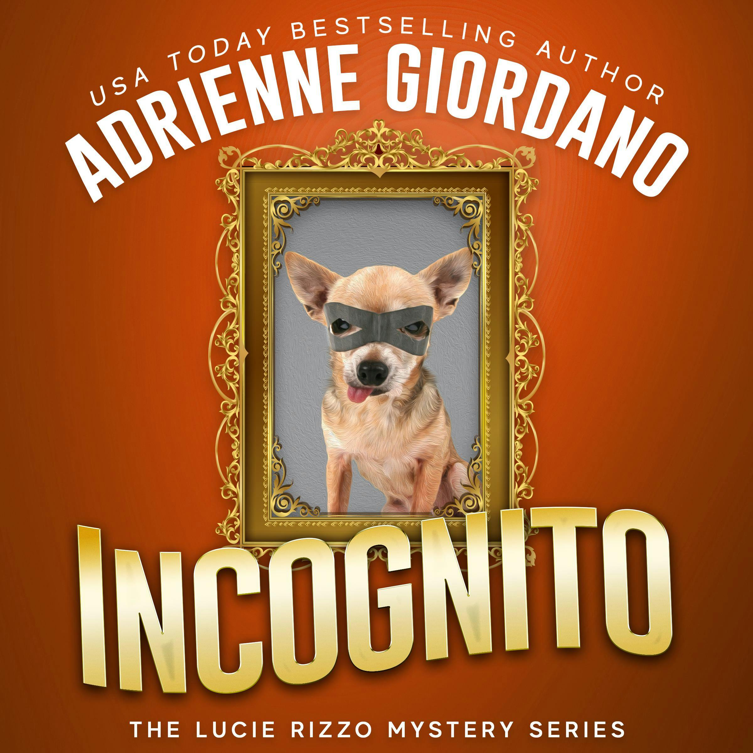 Incognito: A Hidden Identity Mystery - Adrienne Giordano