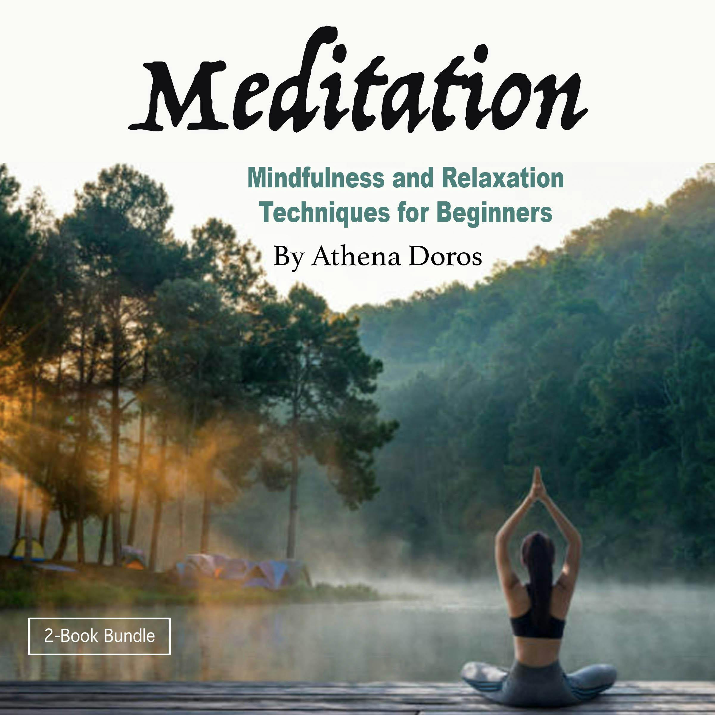 Meditation: Mindfulness and Relaxation Techniques for Beginners - Athena Doros
