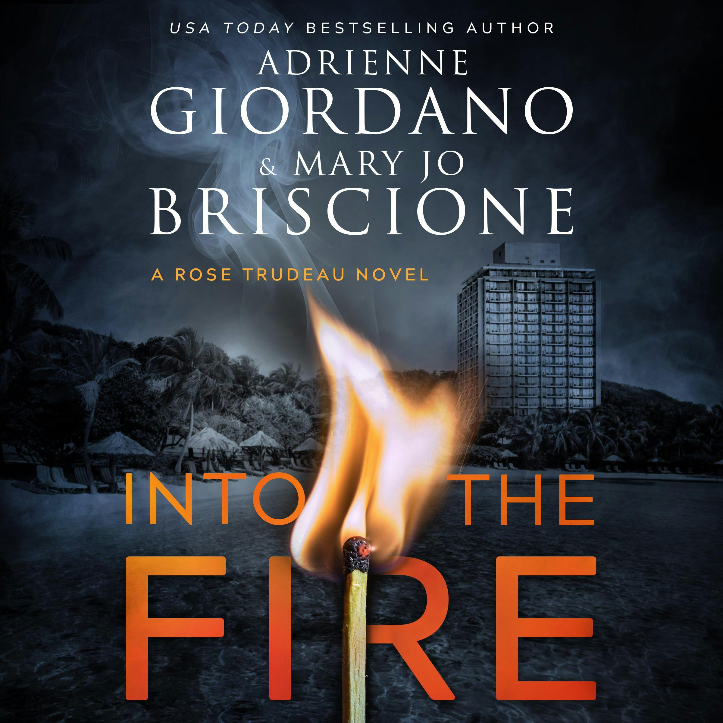 Into The Fire: A Gripping Amateur Sleuth Mystery - Mary Jo Briscione, Adrienne Giordano