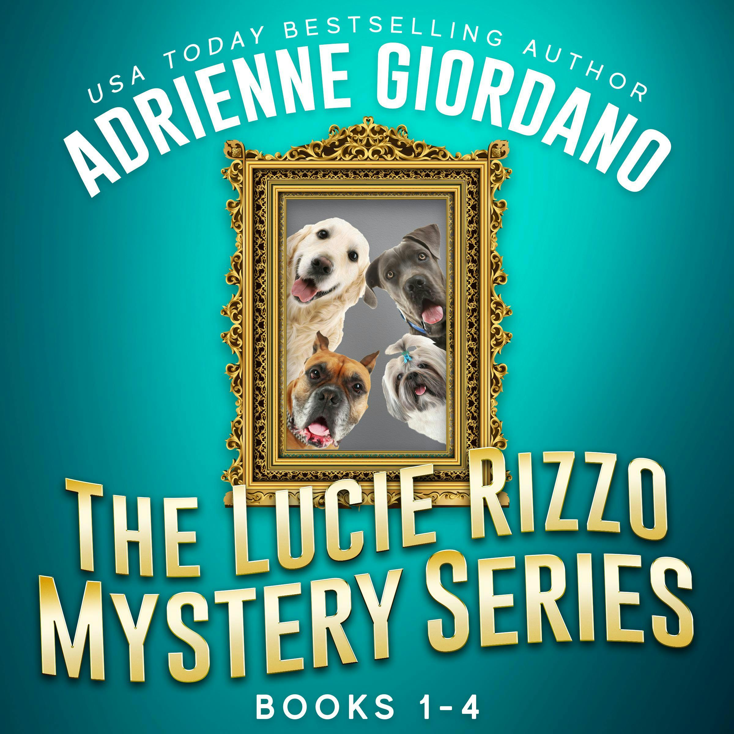 Lucie Rizzo Mystery Series Box Set 1: A Humorous Amateur Sleuth Mystery Series - Adrienne Giordano