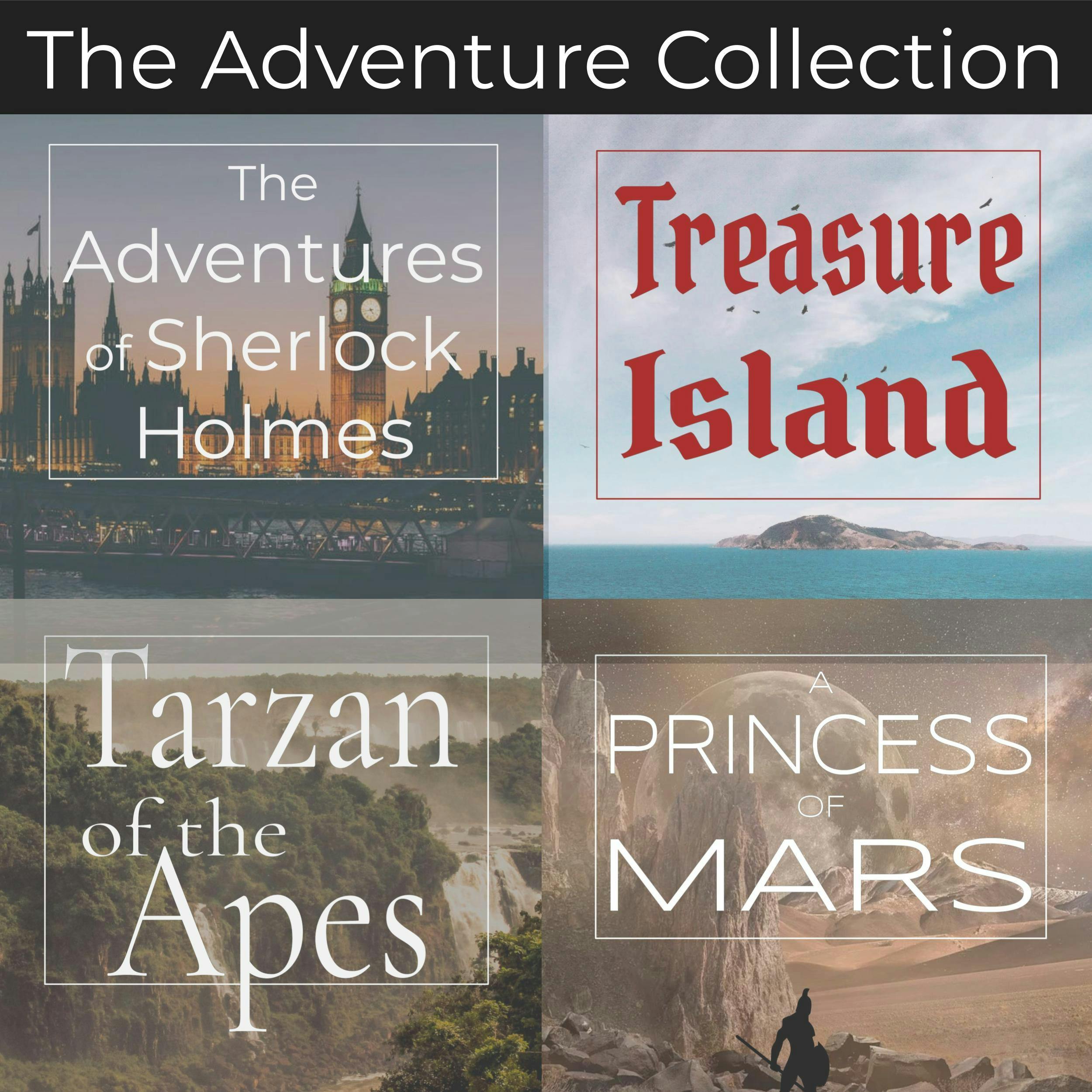 The Adventure Collection - 4 Classic Novels: Unabridged Audiobooks of Treasure Island, A Princess of Mars, Tarzan of the Apes, and The Adventures of Sherlock Holmes - undefined
