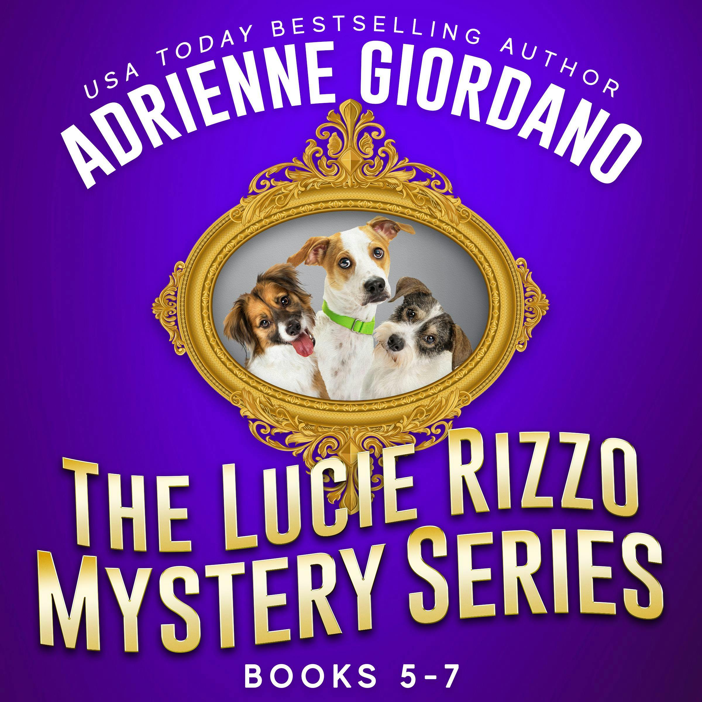 Lucie Rizzo Mystery Series Box Set 2: A Humorous Amateur Sleuth Mystery Series - Adrienne Giordano