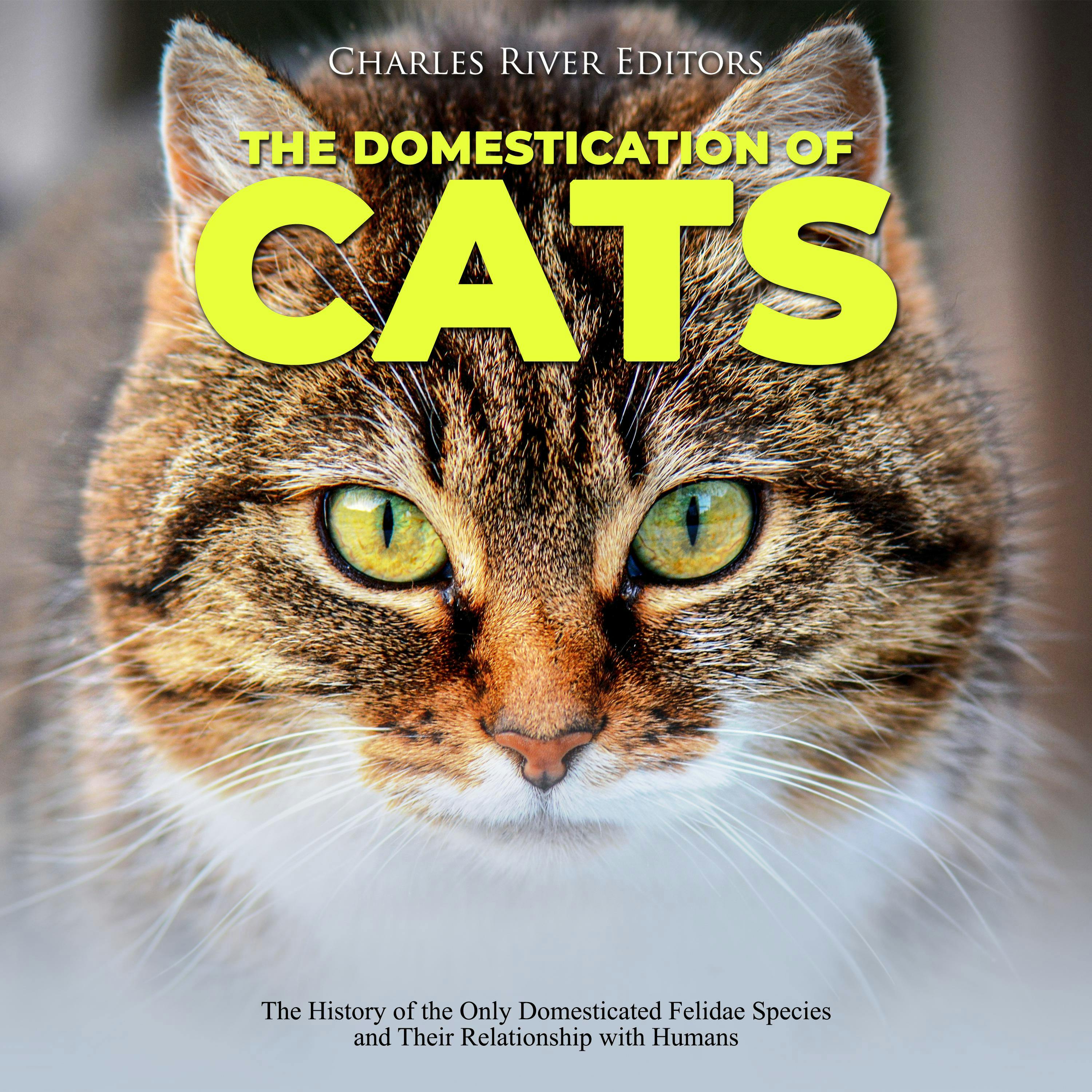 The Domestication of Cats: The History of the Only Domesticated Felidae Species and Their Relationship with Humans - Charles River Editors