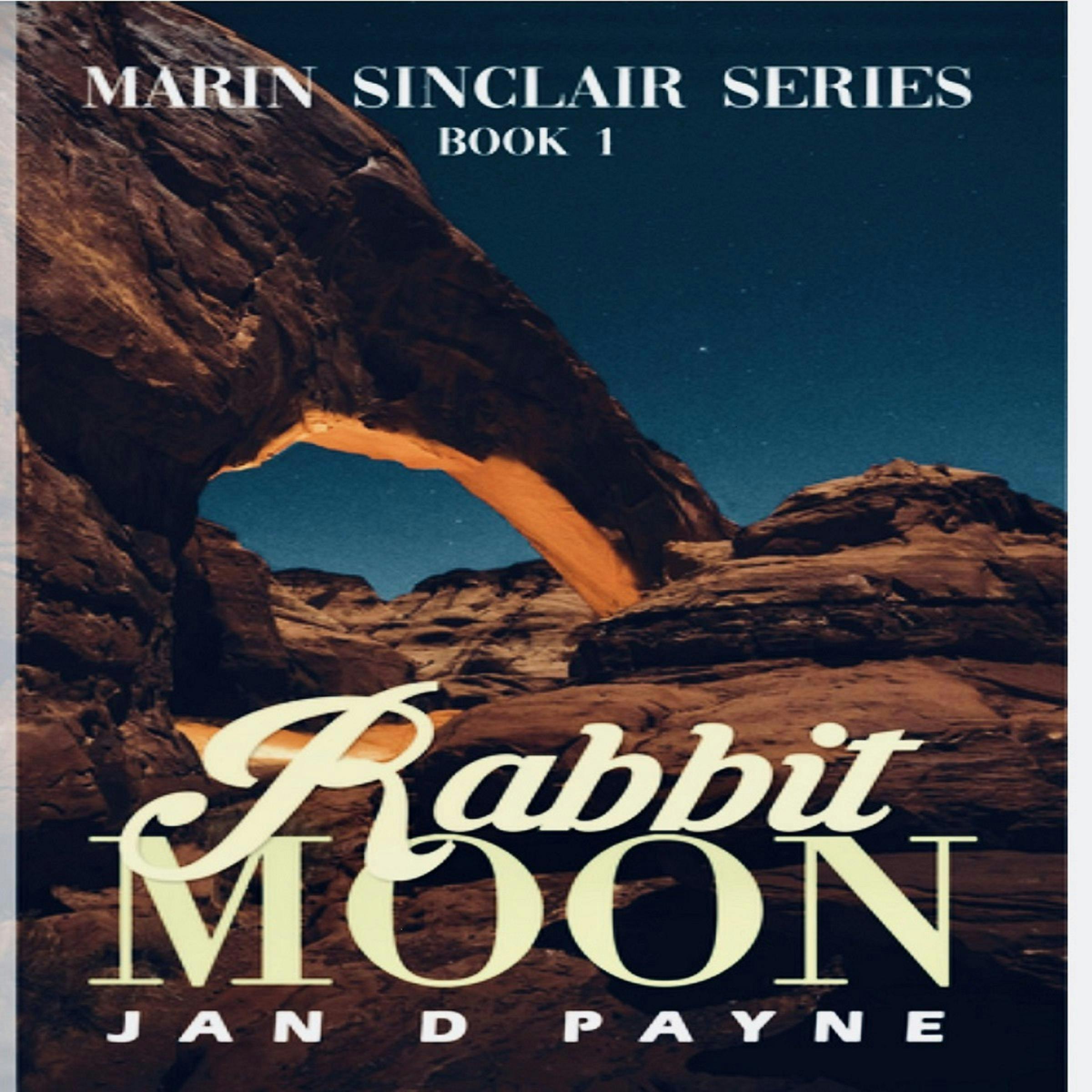 Rabbit Moon: A Navajoland Mystery - Jan D Payne