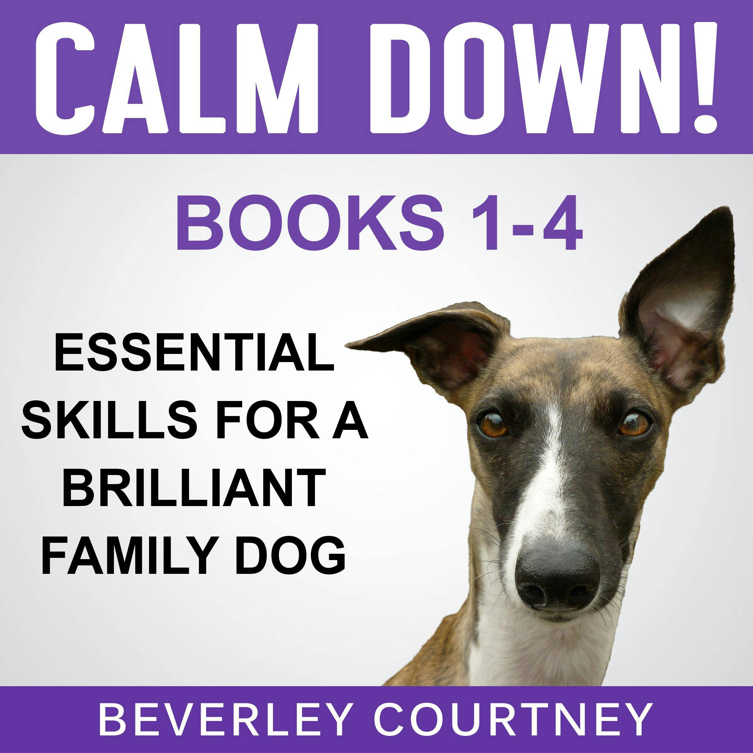 Essential Skills for a Brilliant Family Dog Books 1-4: Calm Down! Leave It! Let's Go! and Here Boy! - undefined