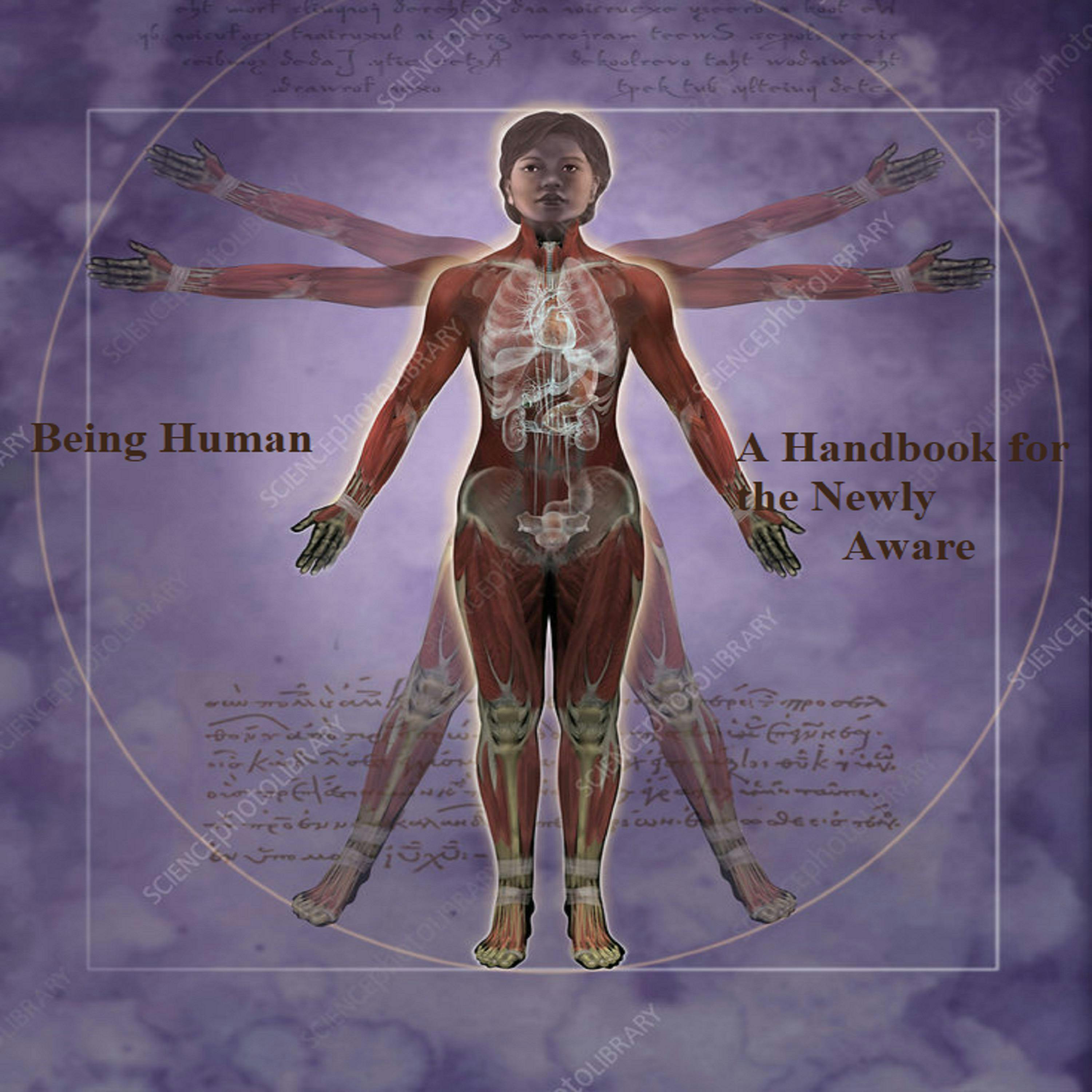 Being Human - A Handbook for the Newly Aware - Jacque G.