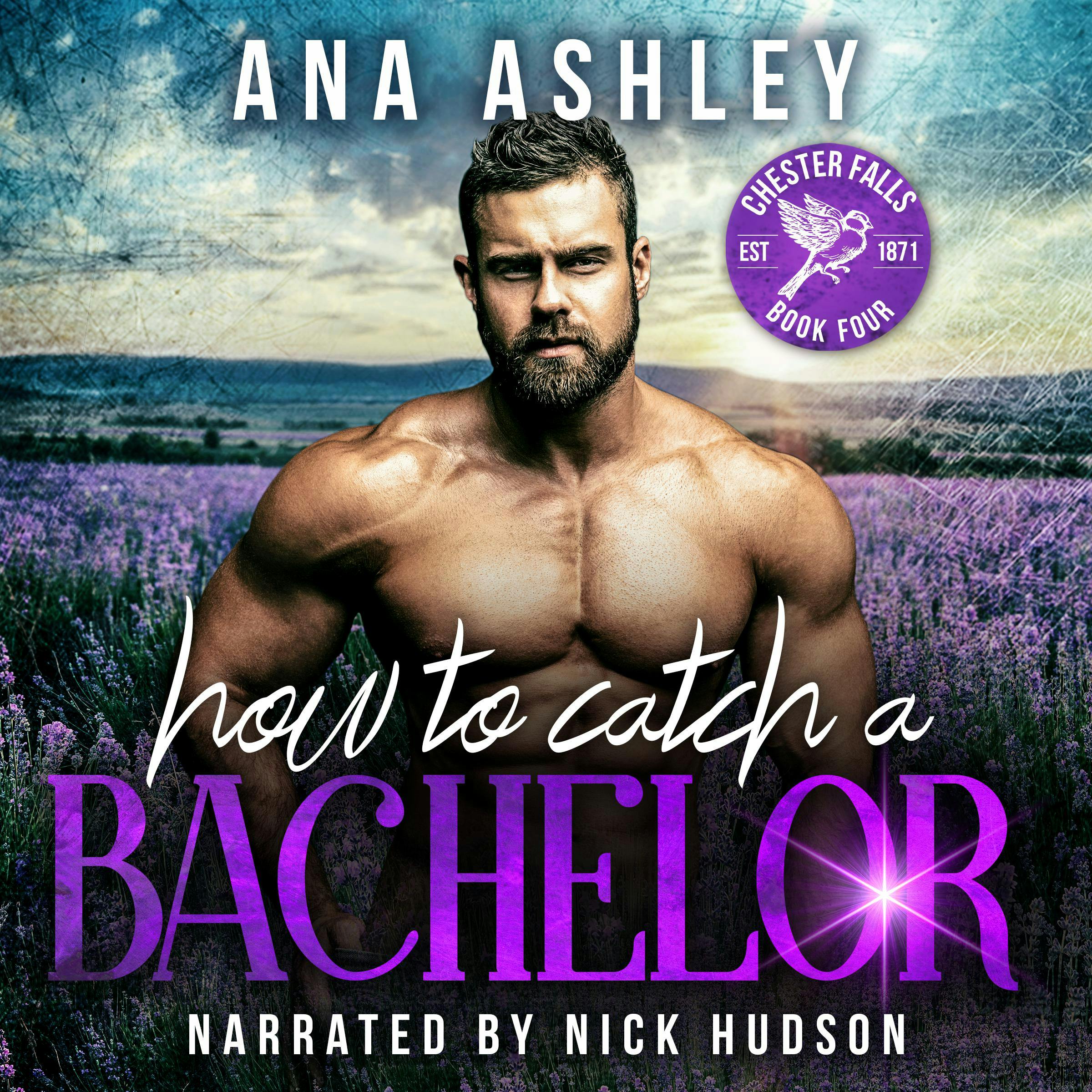 How to Catch a Bachelor: A wake up married MM romance - Ana Ashley