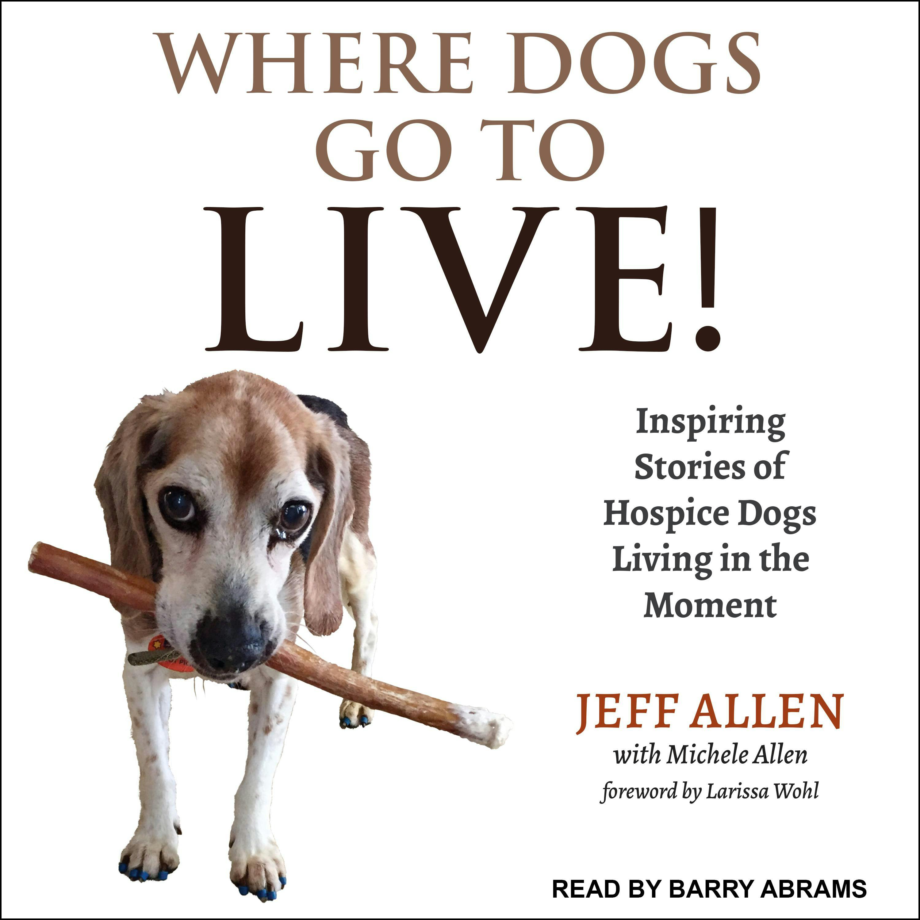 Where Dogs Go To LIVE!: Inspiring Stories of Hospice Dogs Living in the Moment - Michele Allen, Larissa Wohl, Jeff Allen