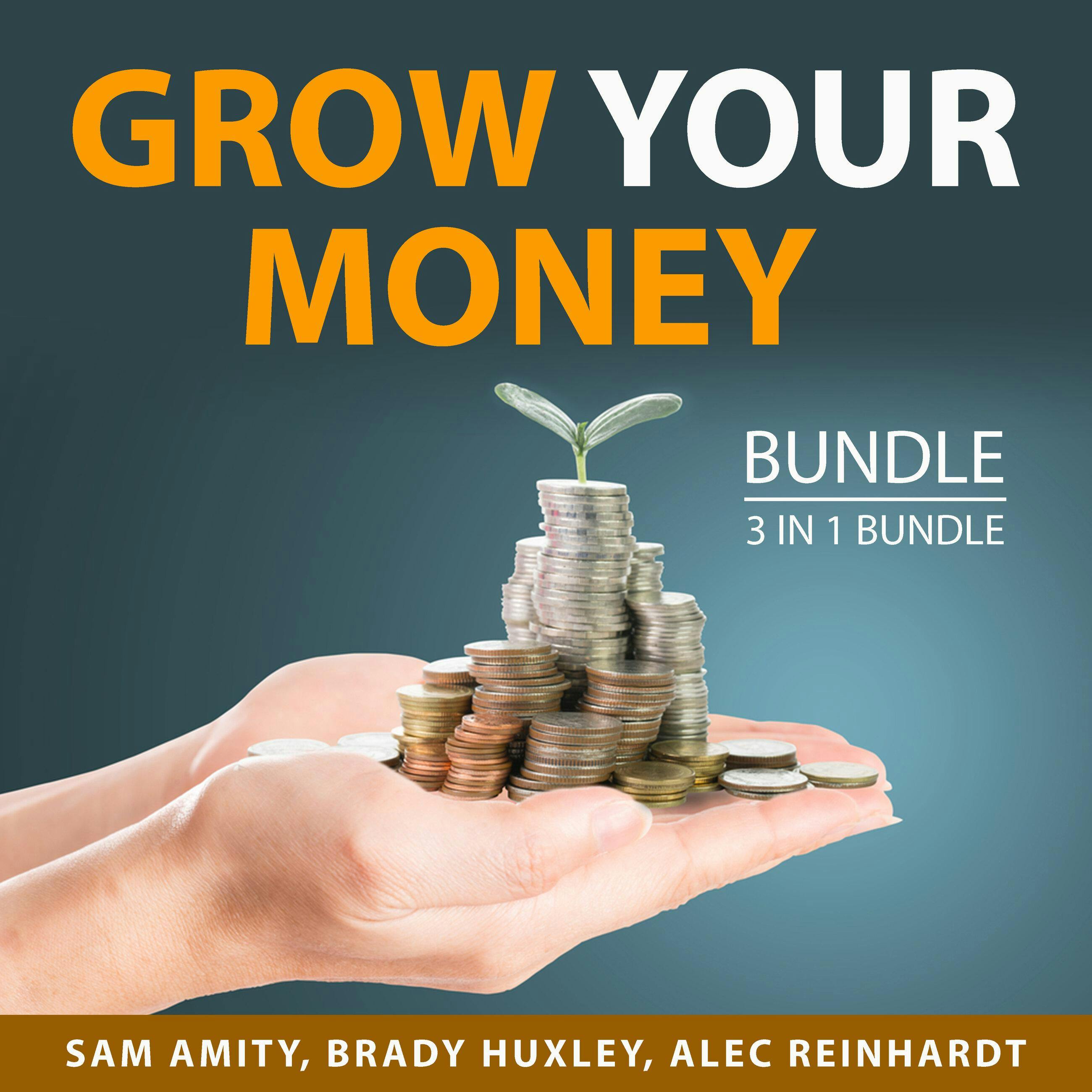 Grow Your Money Bundle, 3 in 1 Bundle: Budgeting and Personal Finance, Money Attraction Blueprint, and Financial Abundance - Brady Huxley, Alec Reinhardt, Sam Amity
