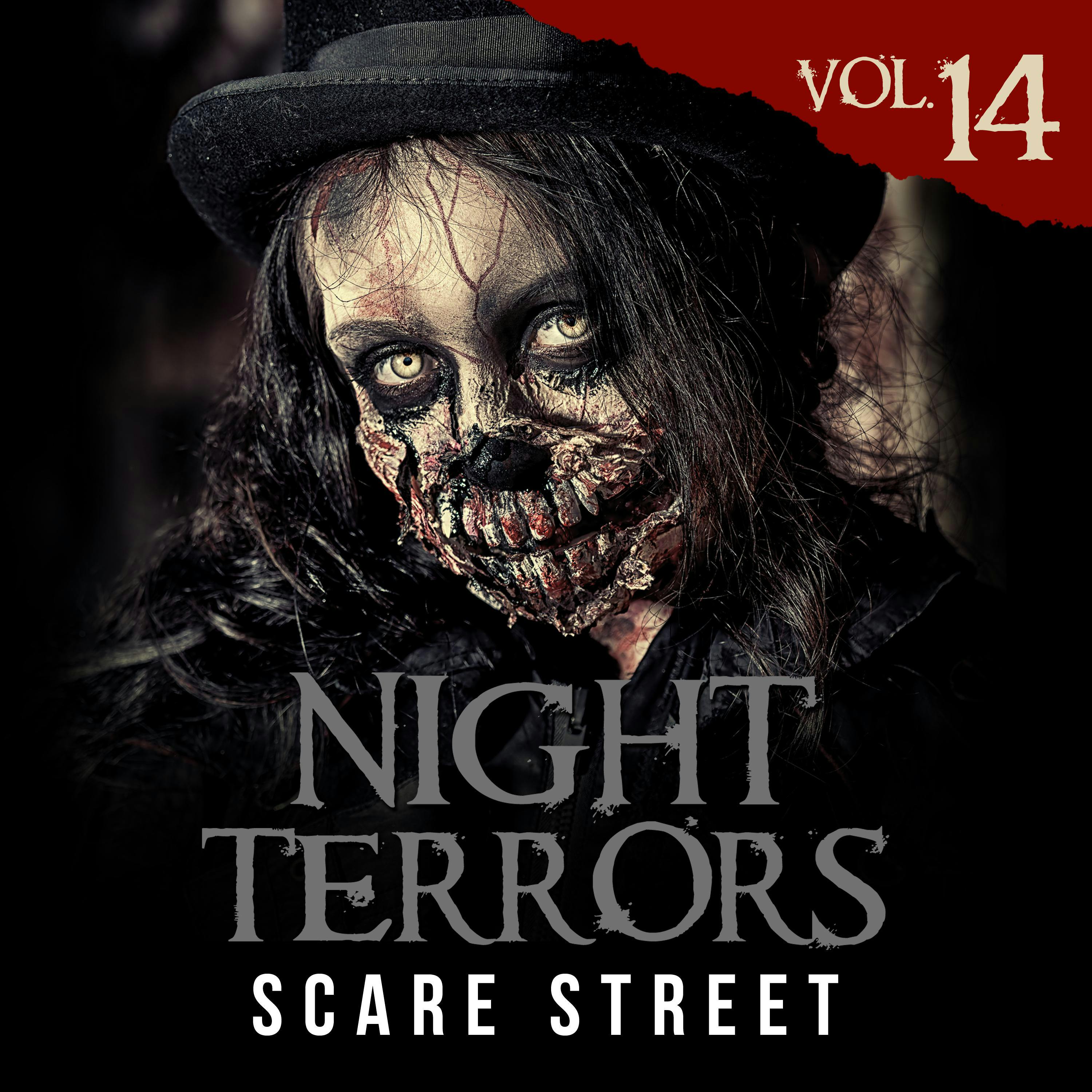 Night Terrors Vol. 14: Short Horror Stories Anthology - undefined