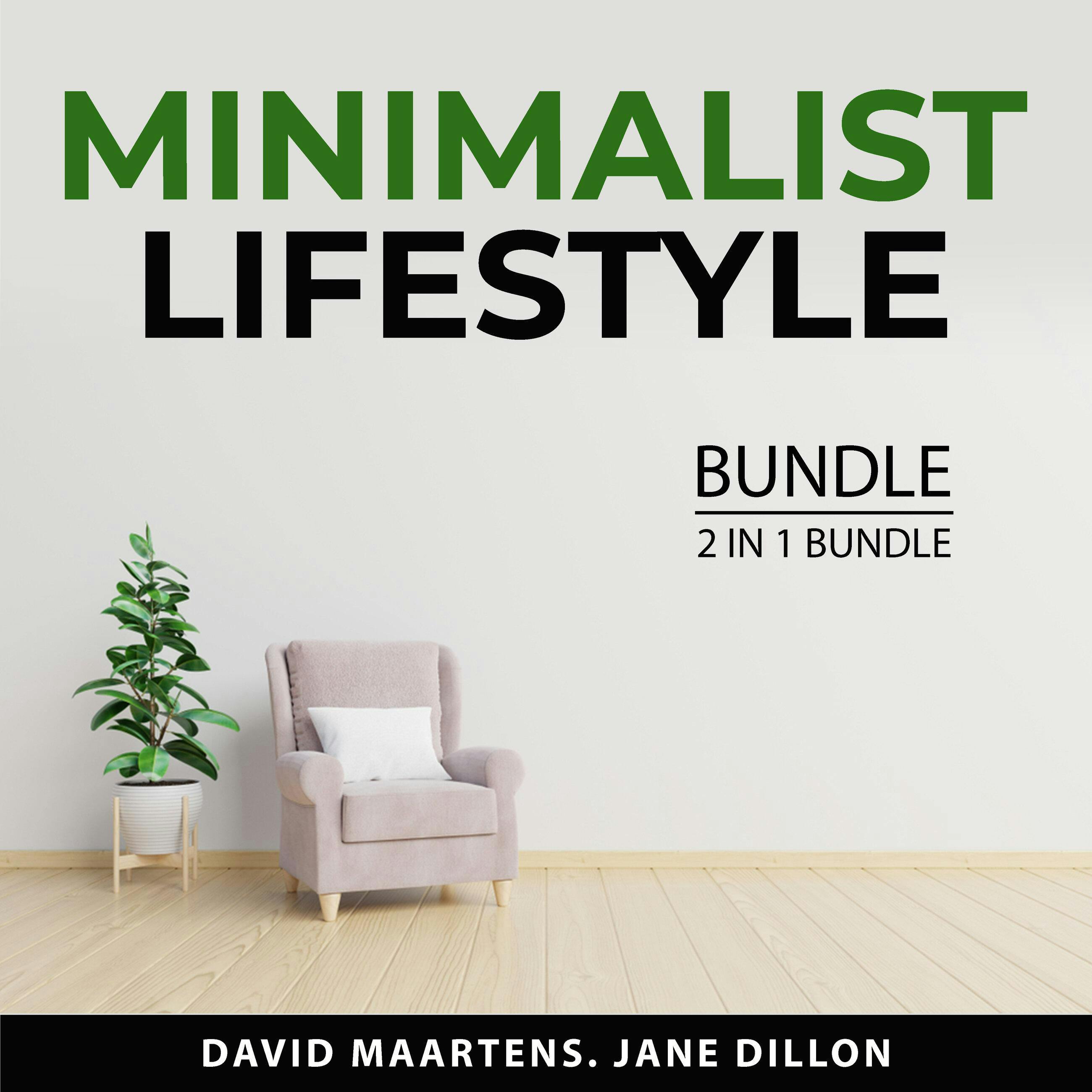 Minimalist Lifestyle Bundle, 2 in 1 Bundle: Art of Minimalism and Declutter and Organize Your Home - David Maartens, Jane Dillon