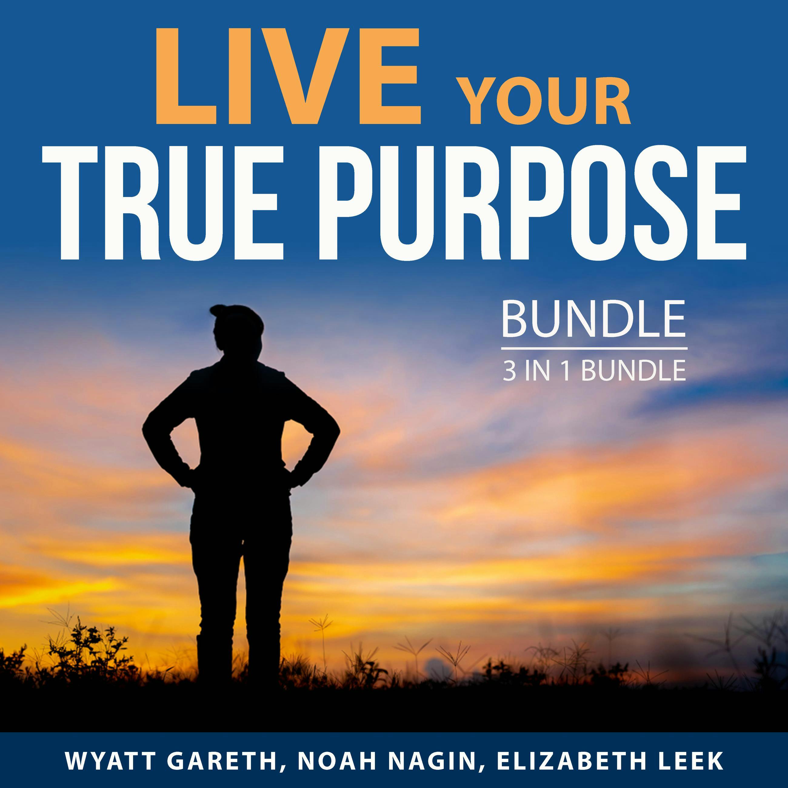 Live Your True Purpose Bundle, 3 in 1 Bundle: Purposeful Life, Living a Meaningful Life, and Positive Outlook - undefined
