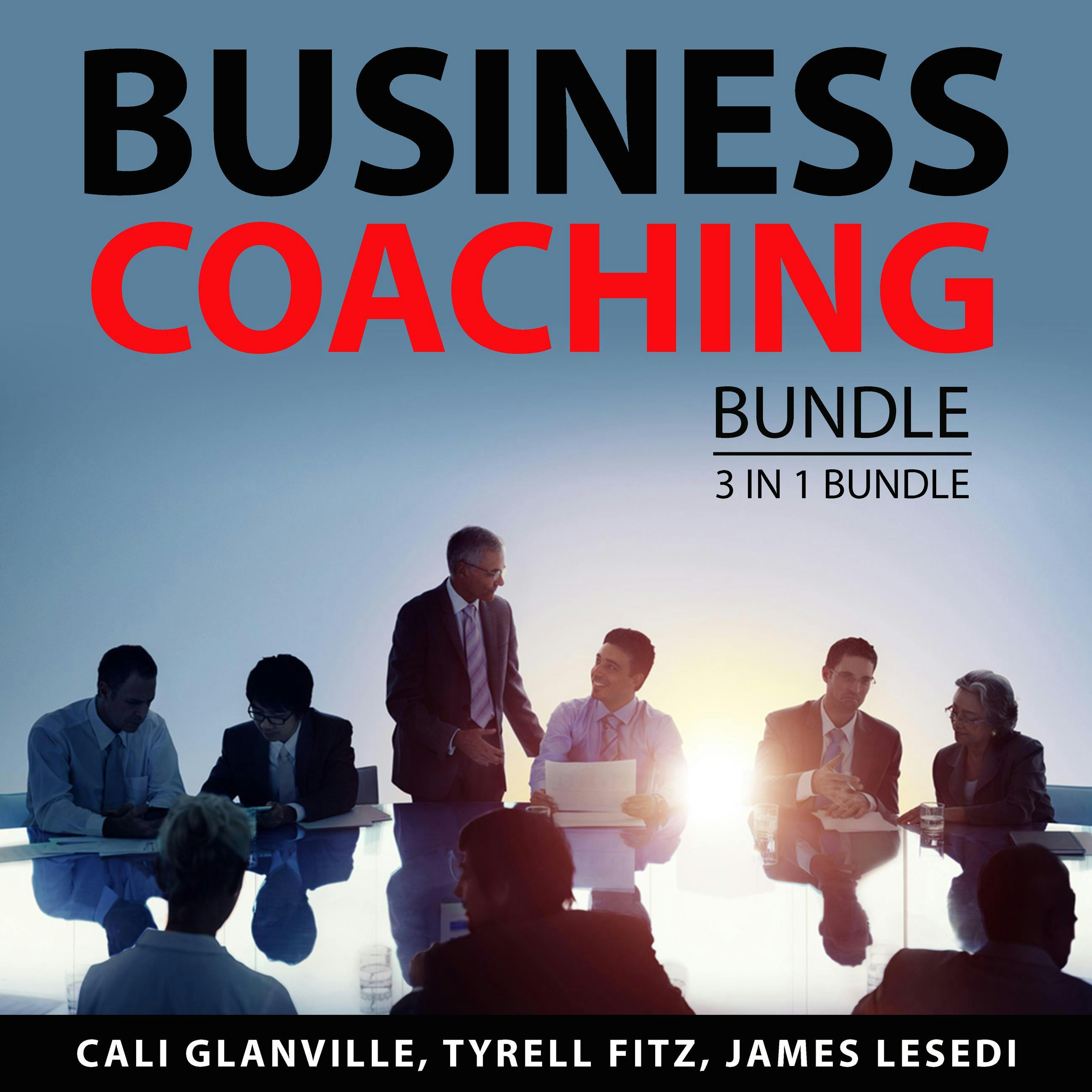 Business Coaching Bundle, 3 in 1 Bundle: Coaching Business Bible, Coaching Business Principles, and Online Coaching Career - Tyrell Fitz, Cali Glanville, James Lesedi