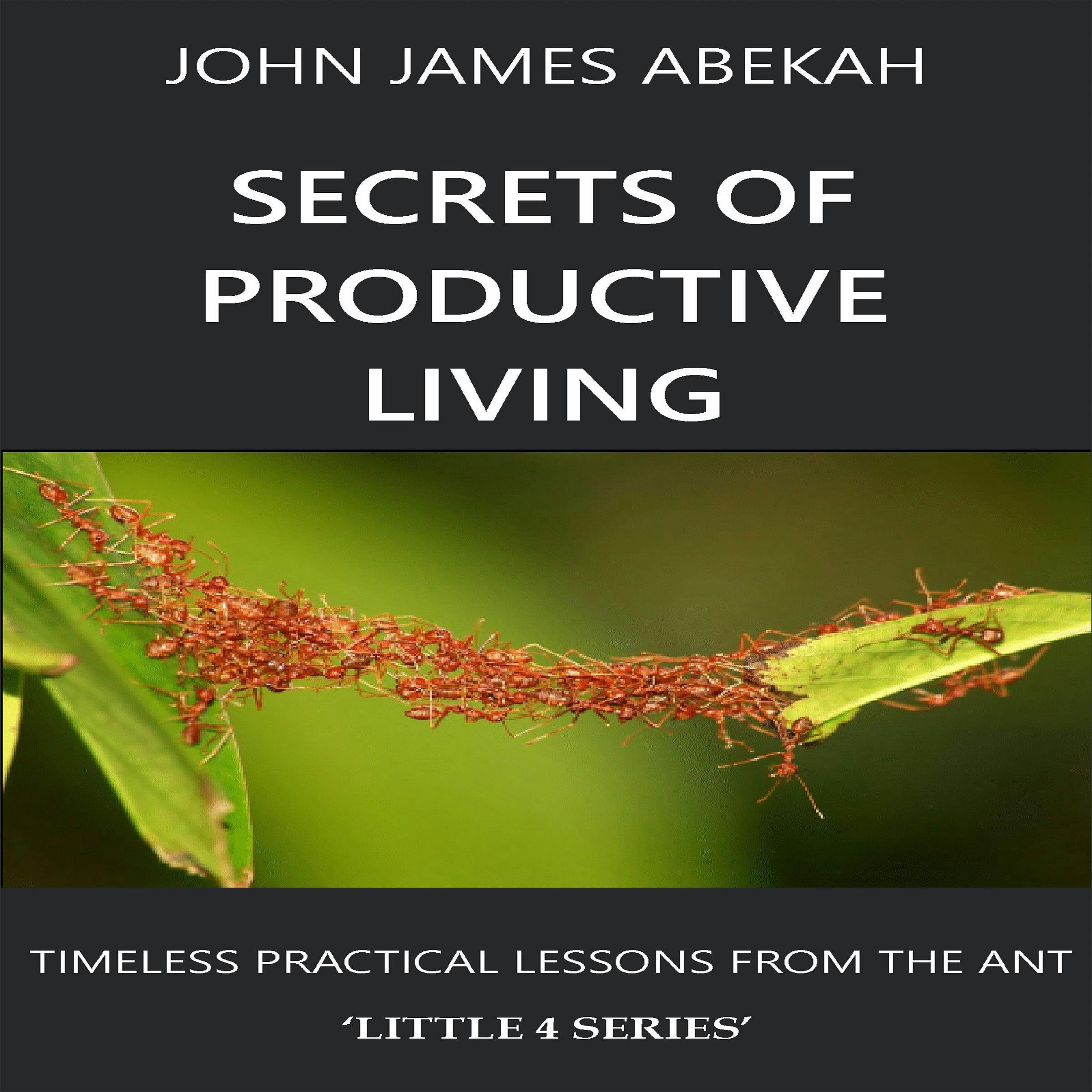 SECRETS OF PRODUCTIVE LIVING: TIMELESS PRACTICAL LESSONS FROM THE ANT - JOHN JAMES ABEKAH