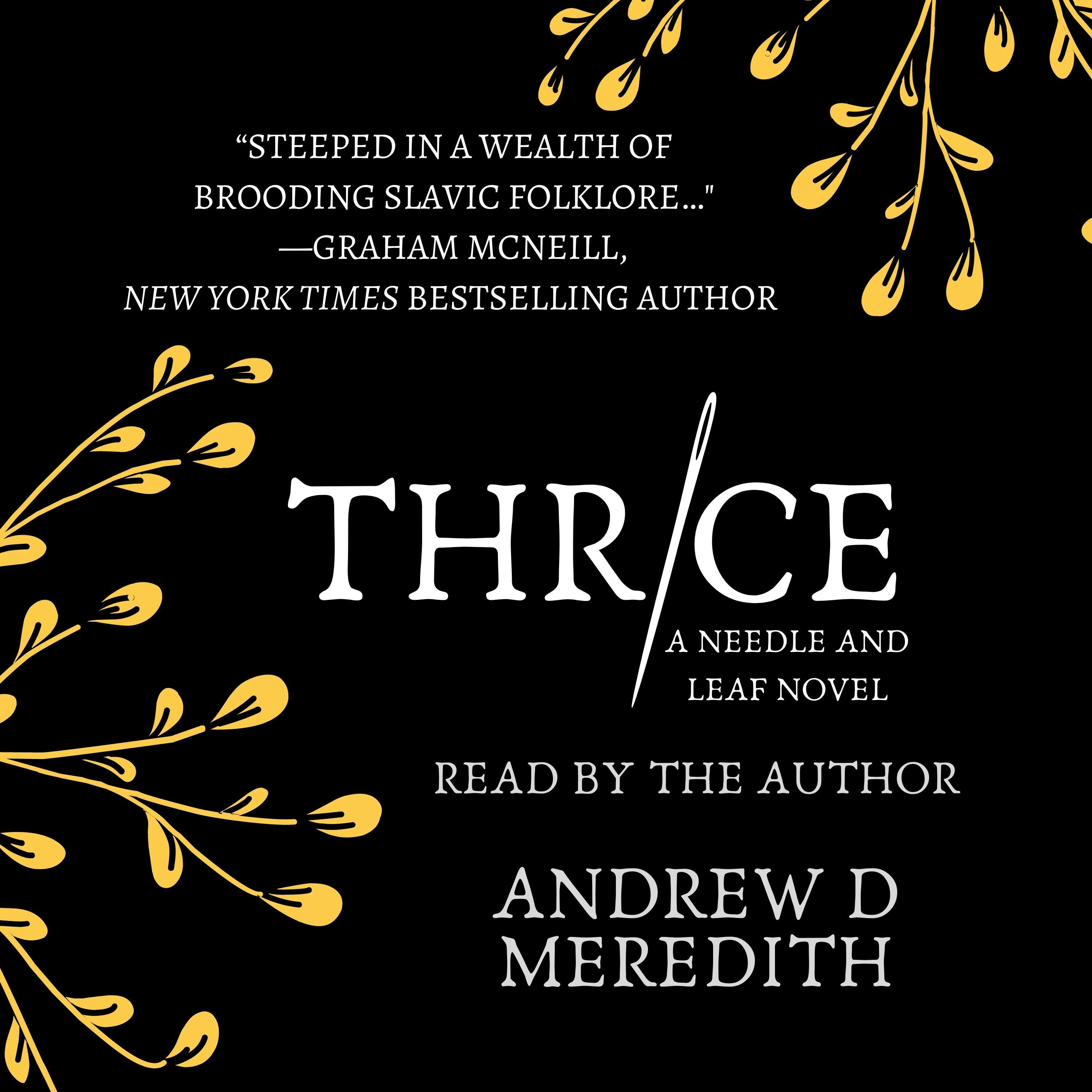 Thrice - Andrew D Meredith