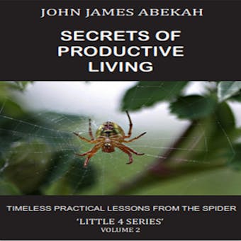 SECRETS OF PRODUCTIVE LIVING VOL. 2: (TIMELESS PRACTICAL LESSONS FROM THE SPIDER)