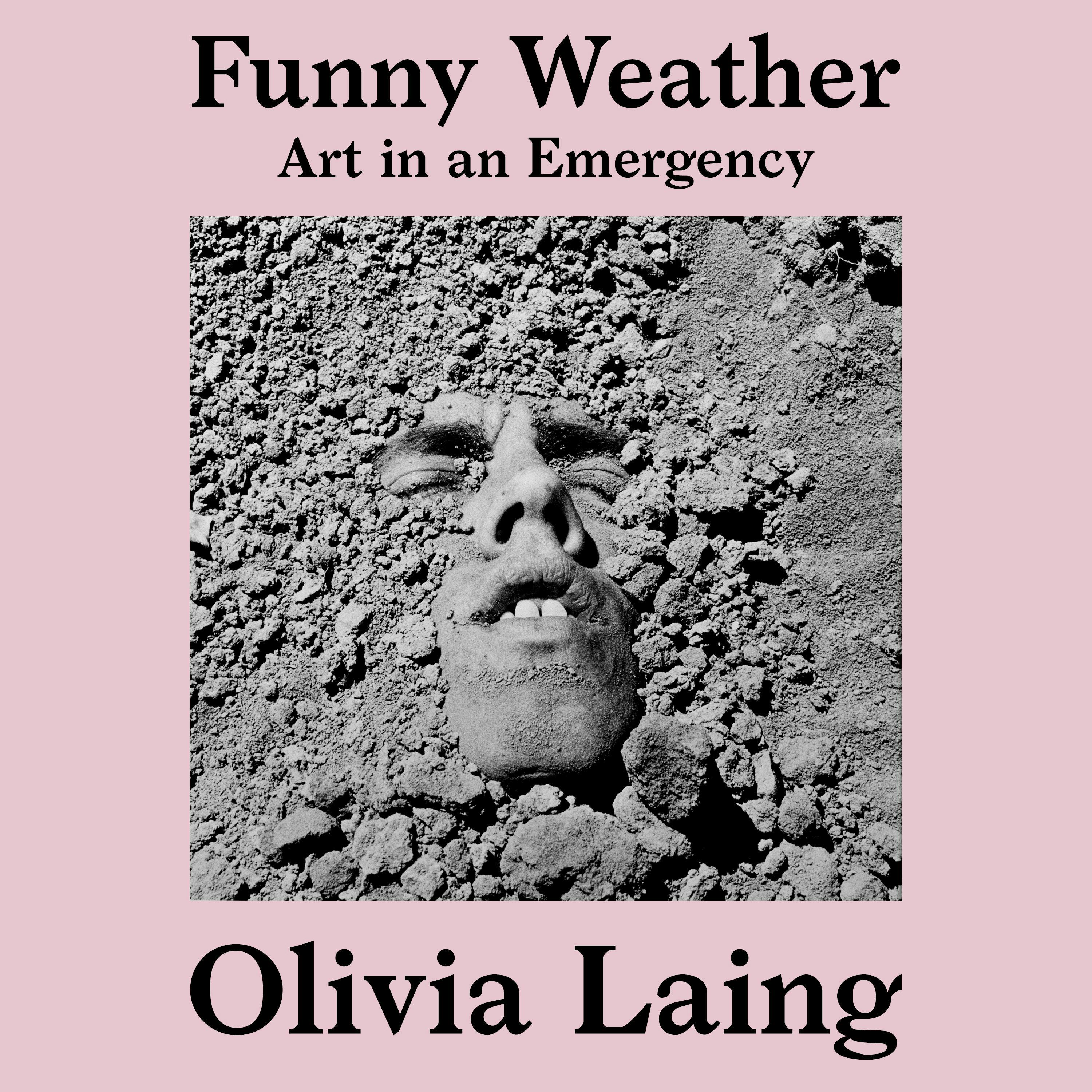 Funny Weather: Art in an Emergency - Olivia Laing