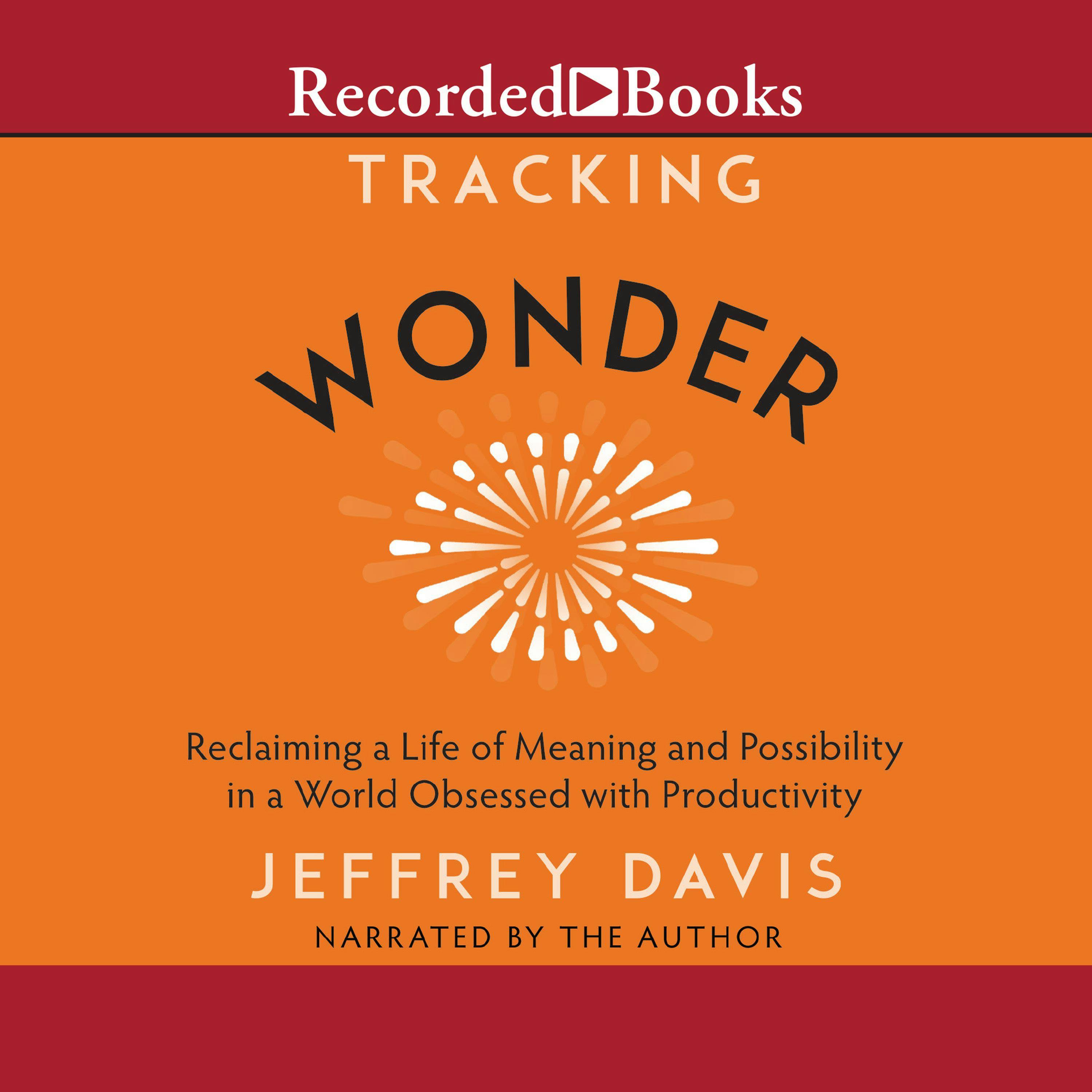 Tracking Wonder: Reclaiming a Life of Meaning and Possibility in a World Obsessed with Productivity - Jeffrey Davis