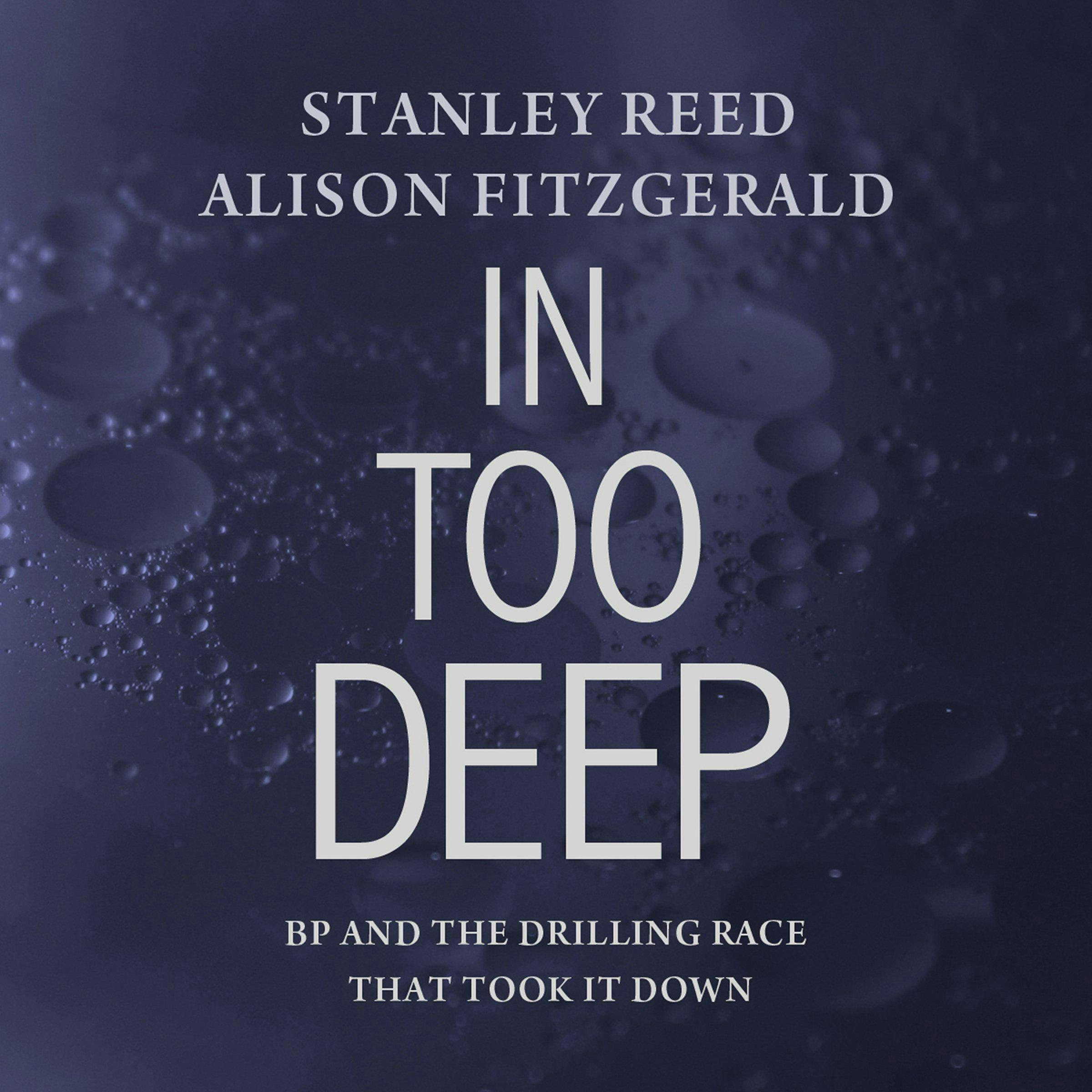 In Too Deep: BP and the Drilling Race That Took it Down - Stanley Reed, Alison Fitzgerald