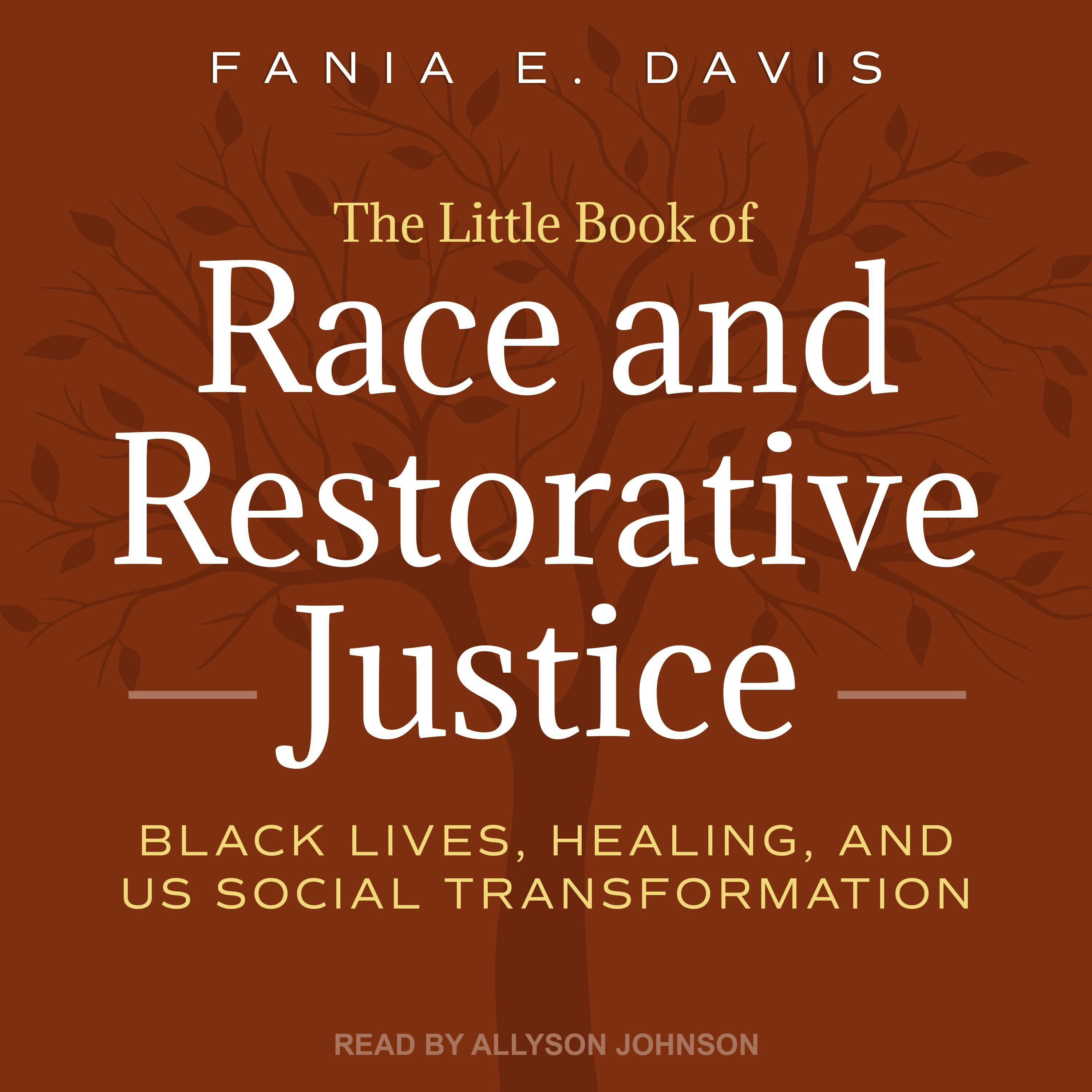 The Little Book of Race and Restorative Justice: Black Lives, Healing, and US Social Transformation - Fania E. Davis