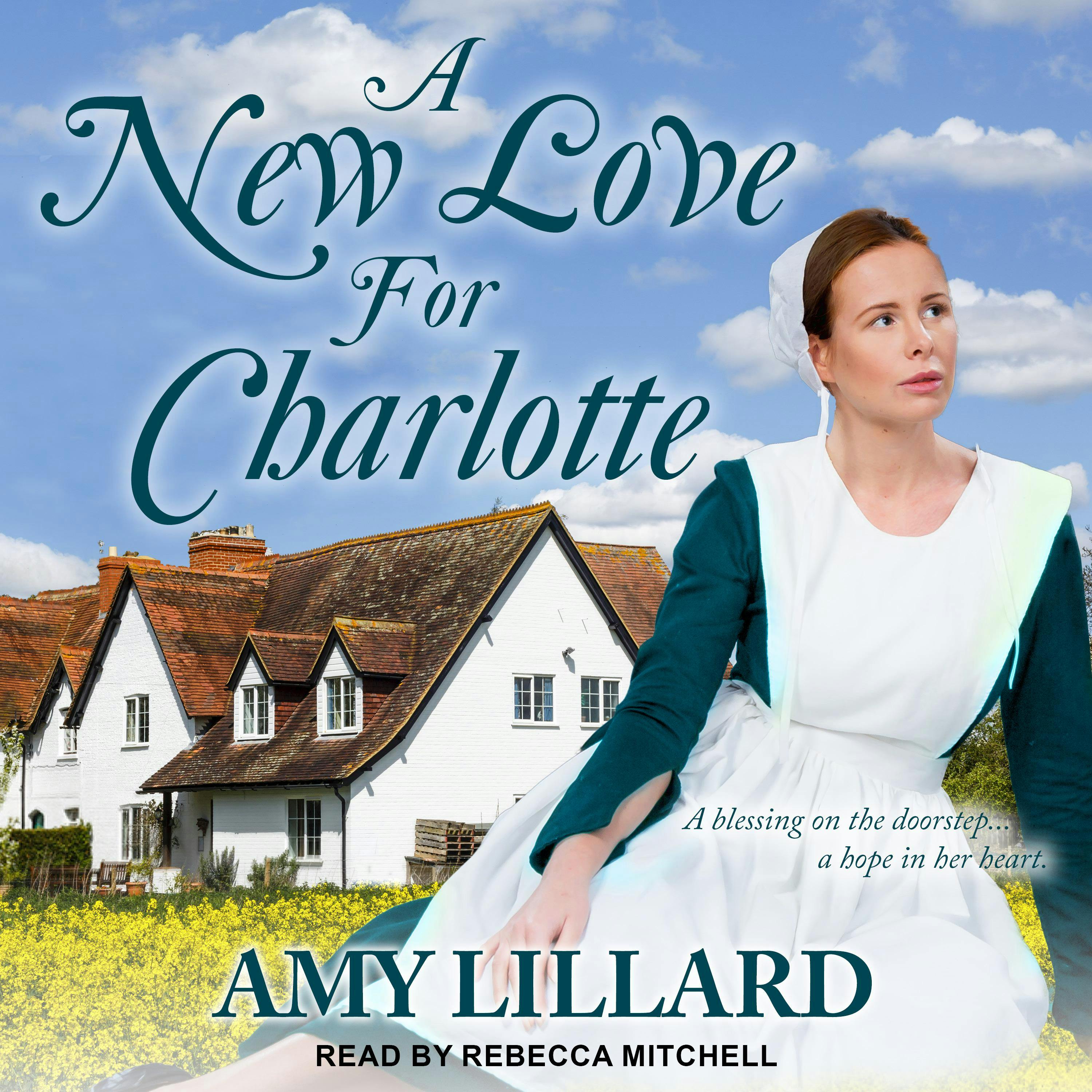 A New Love for Charlotte - Amy Lillard