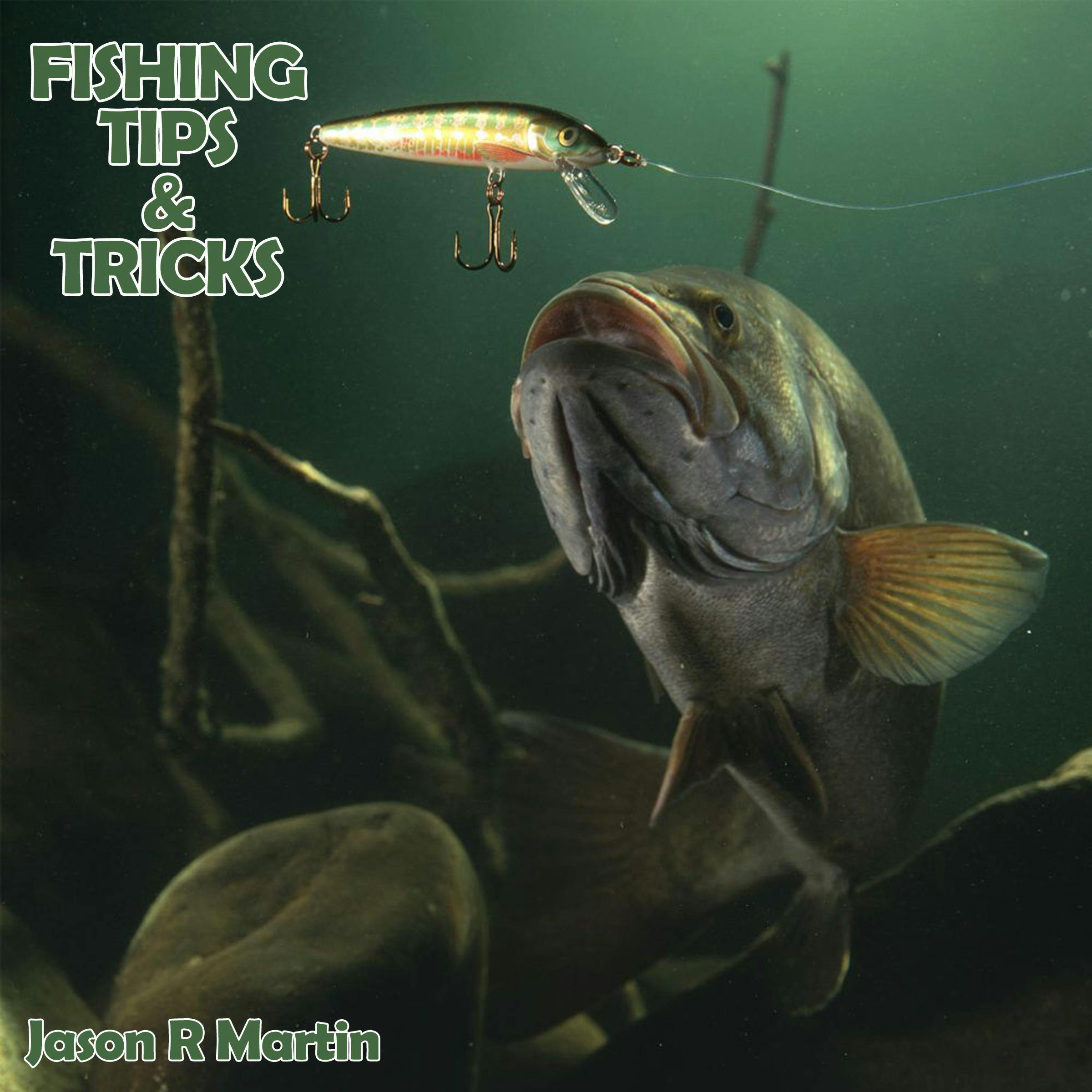 Fishing Tips & Tricks - Jason R Martin