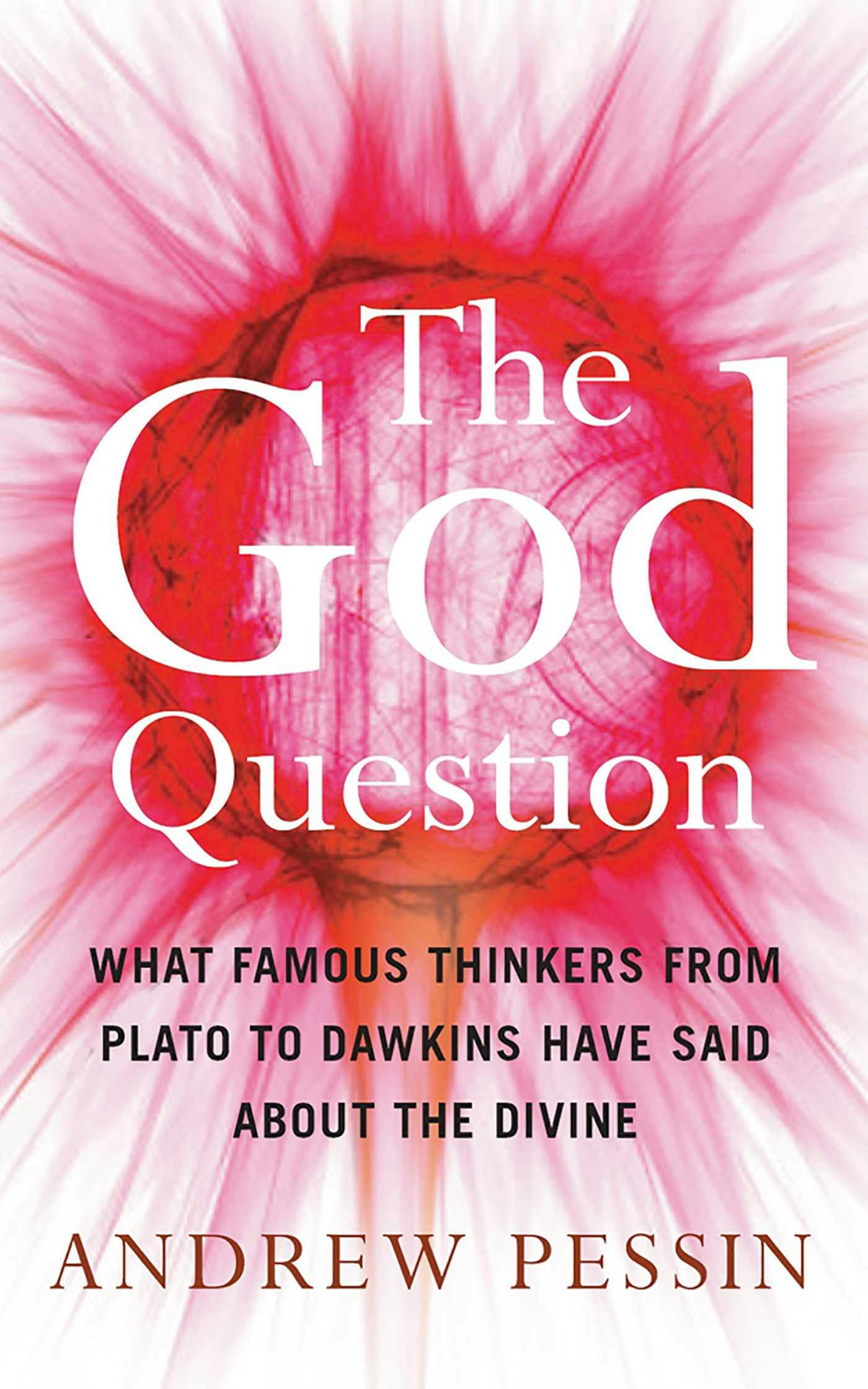 The God Question: What Famous Thinkers from Plato to Dawkins Have Said About the Divine - Andrew Pessin
