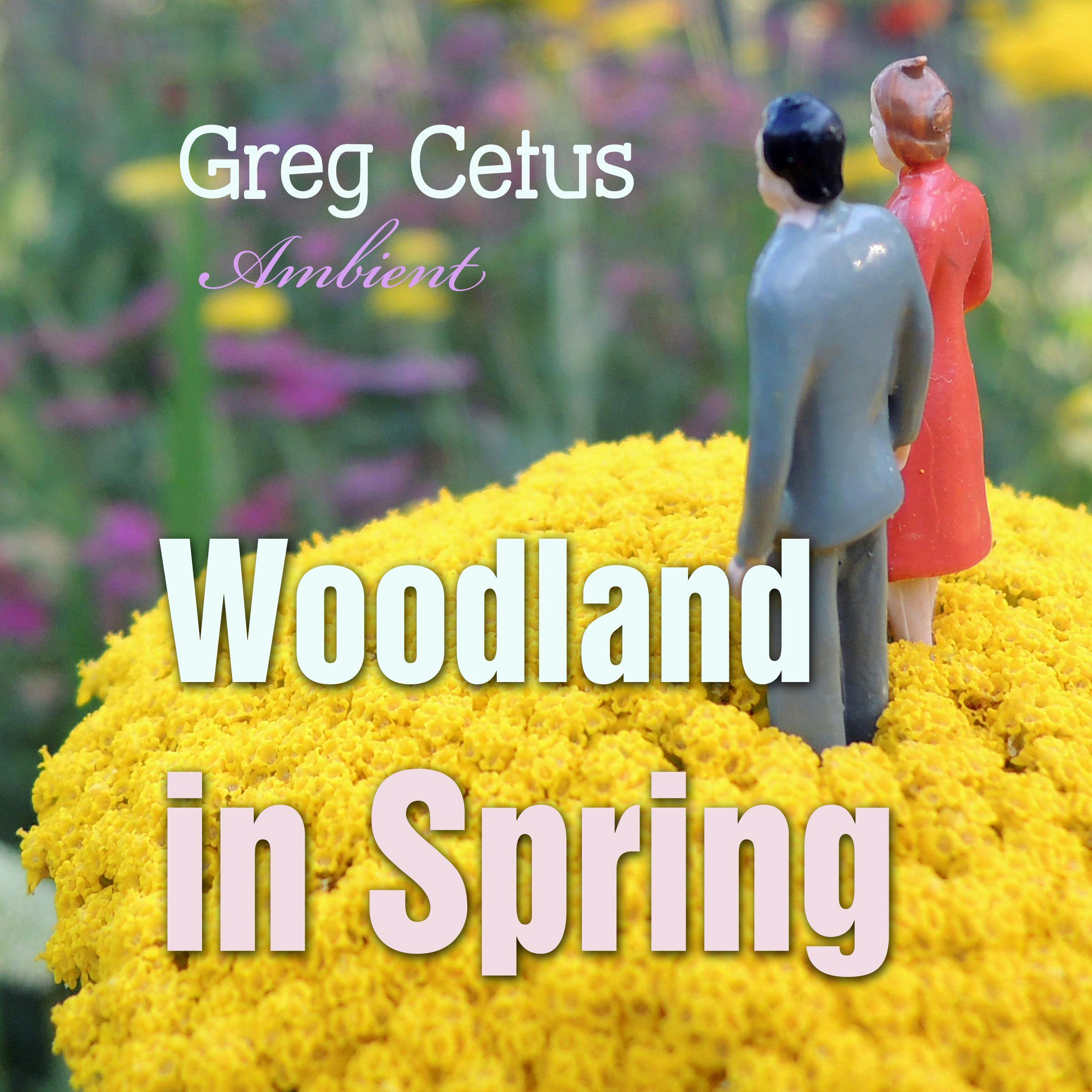 Woodland in Spring: Ambient Soundscape for Mindfulness - Greg Cetus