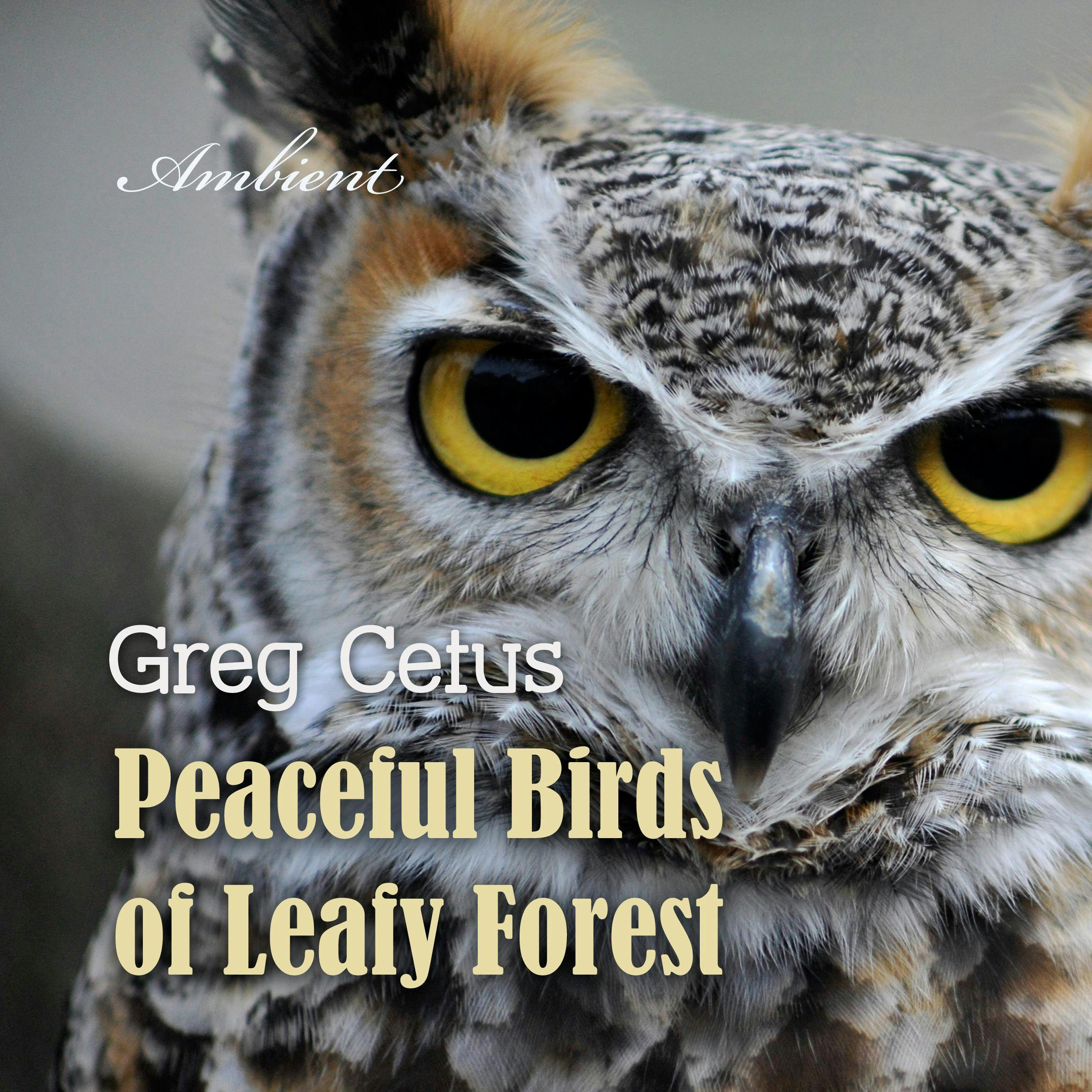 Peaceful Birds of Leafy Forest: Ambient Sounds for Relaxation and Focus - undefined