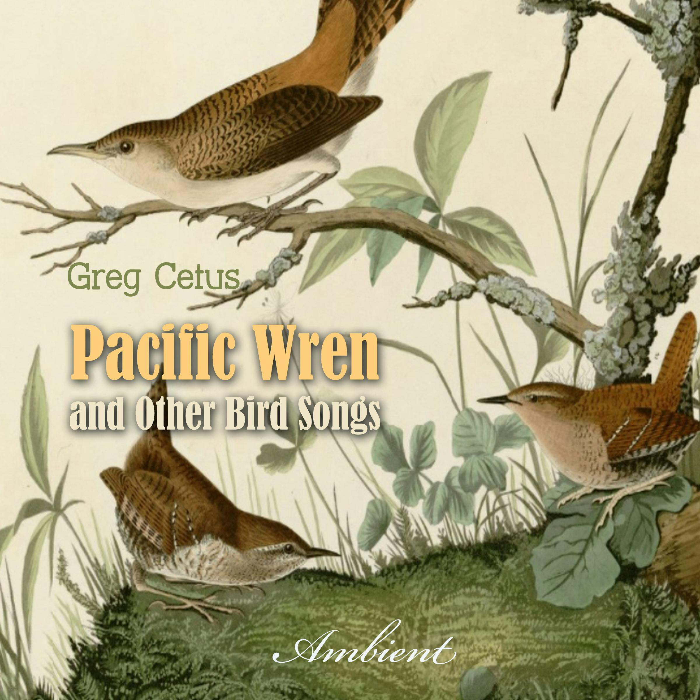 Pacific Wren and Other Bird Songs: Nature Sounds for Good Mood - Greg Cetus