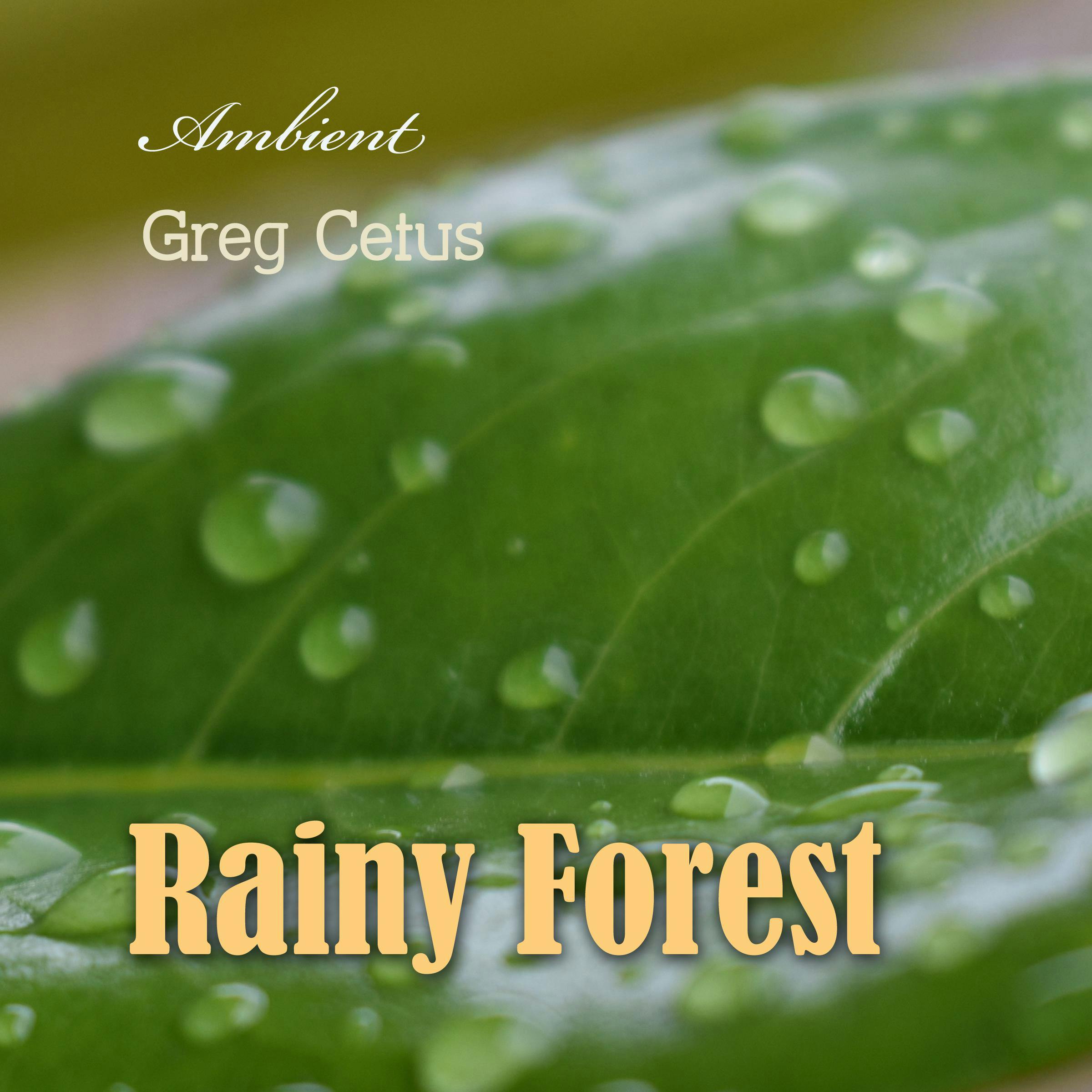 Rainy Forest: Ambient Nature Sounds - Greg Cetus