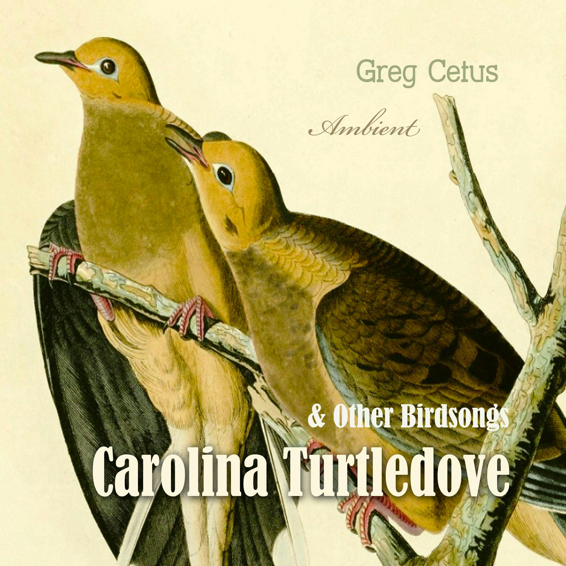 Carolina Turtledove and Other Birdsongs - Greg Cetus