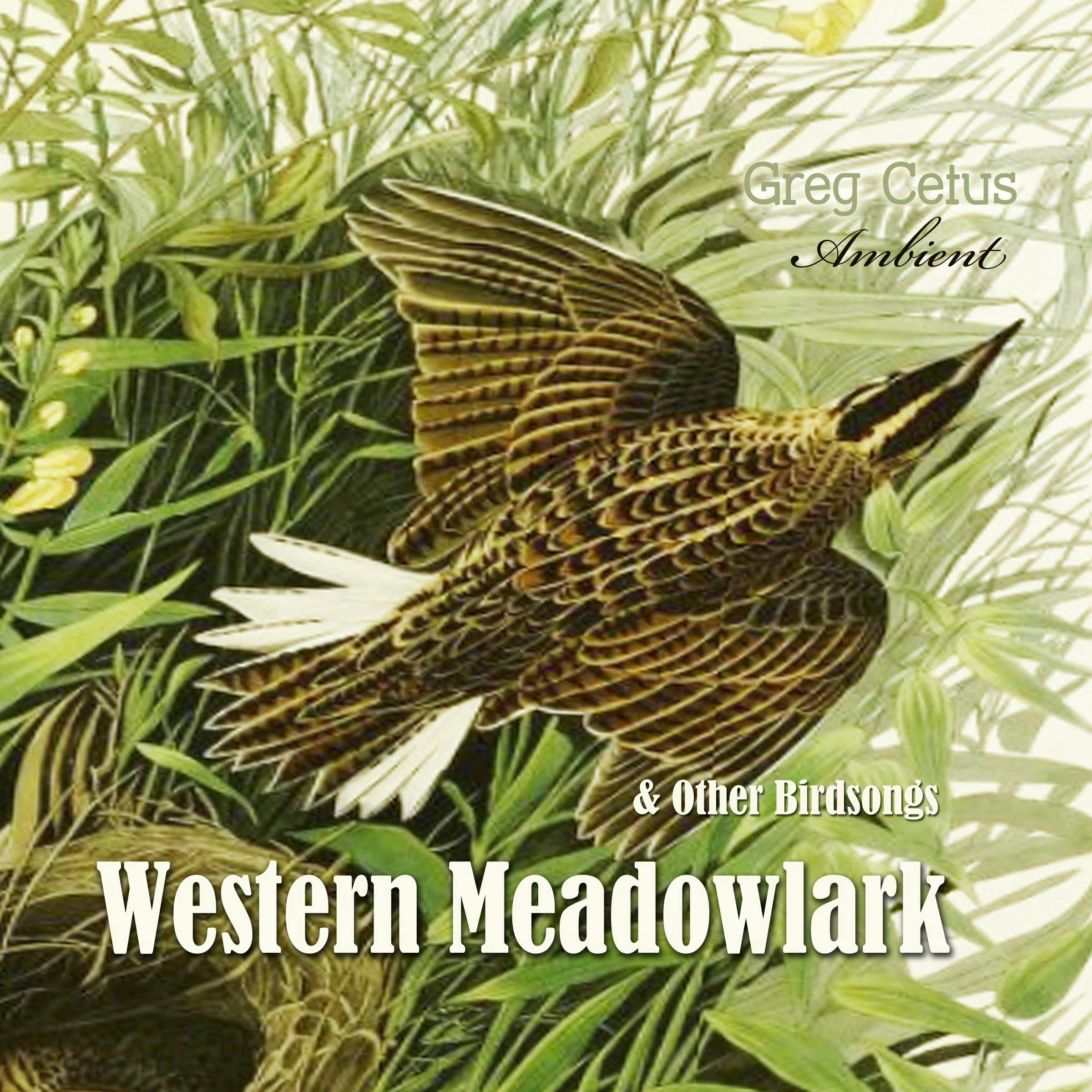 Western Meadowlark and Other Bird Songs - Greg Cetus