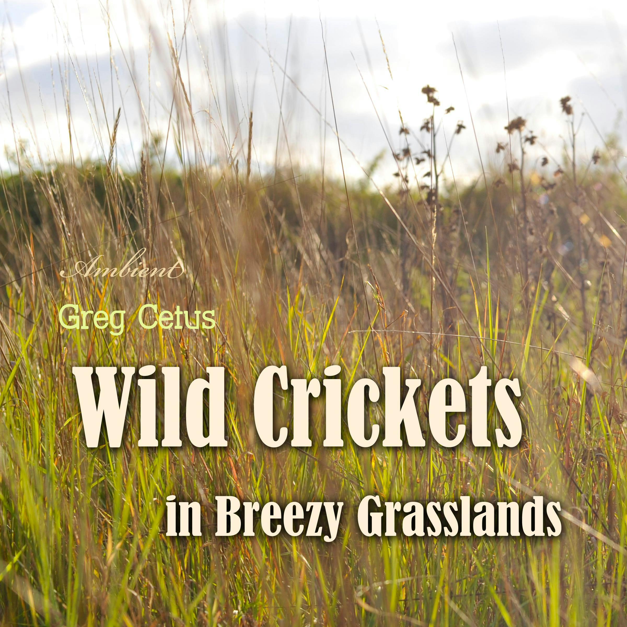 Wild Crickets in Breezy Grasslands - Greg Cetus