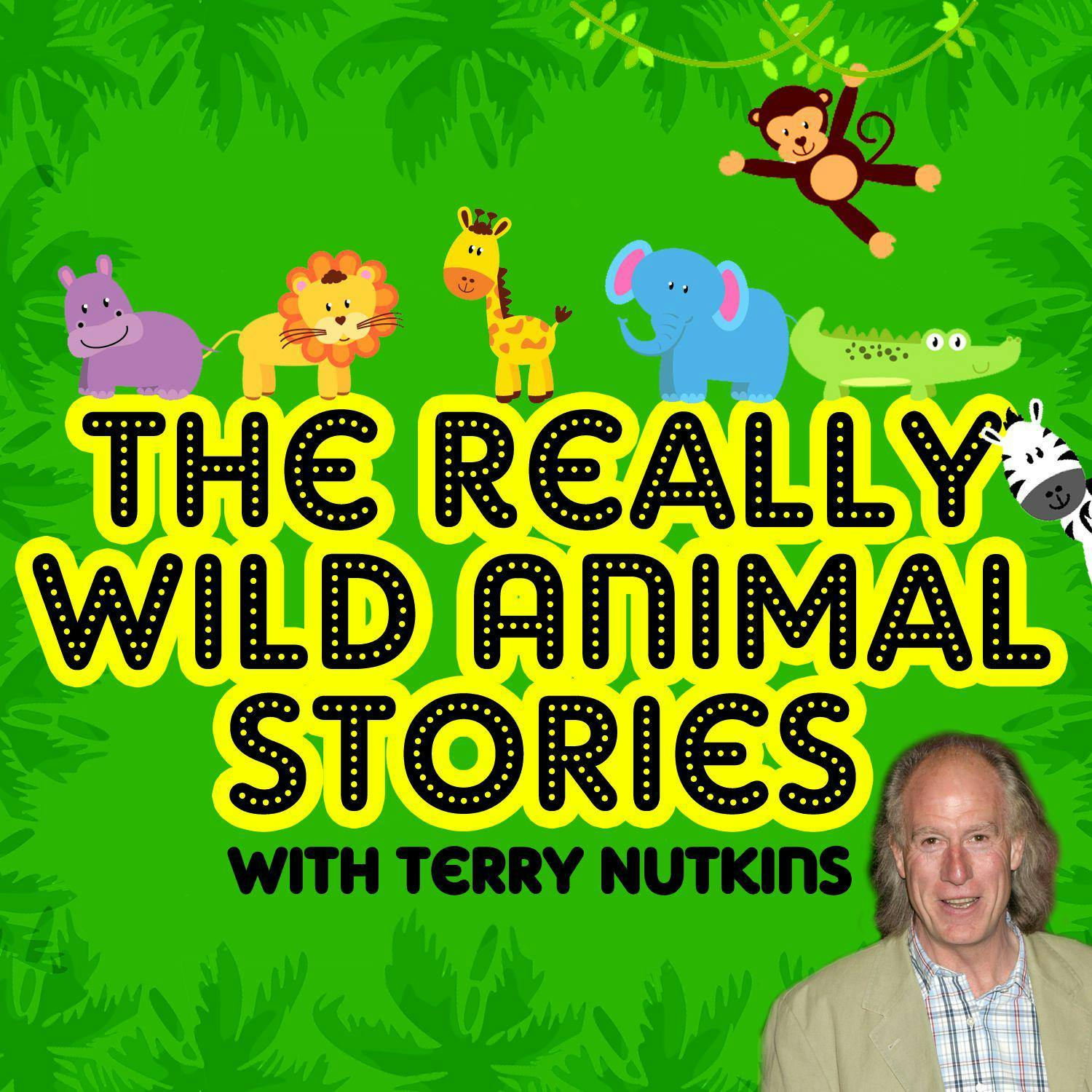The Really Wild Animal Stories - Les Chappell, Rachel Aston, Mark Robson, Robert Howes, Lene Lovitch