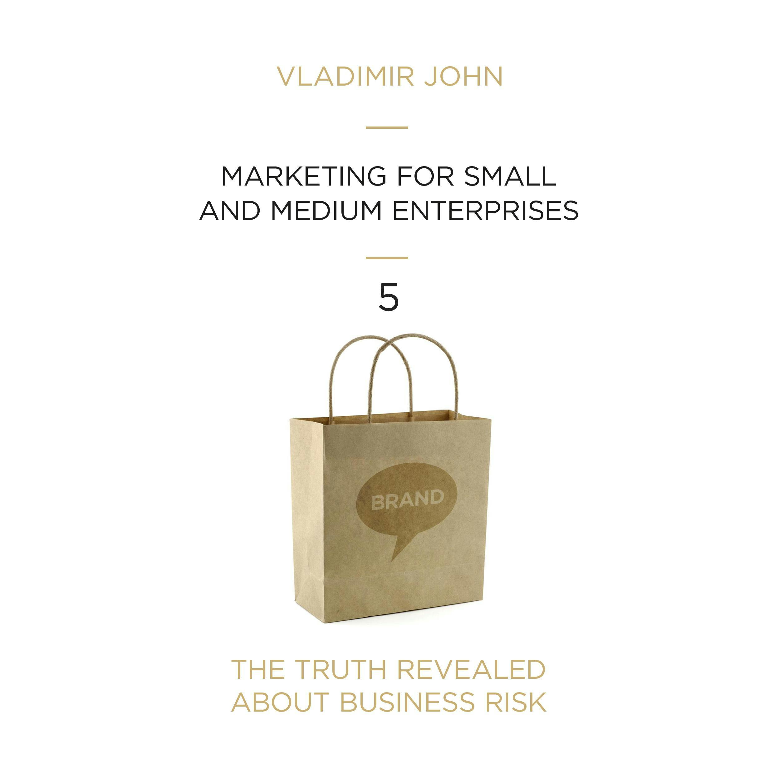 Marketing for Small and Medium Enterprises: The Truth Revealed About Business Risk - undefined