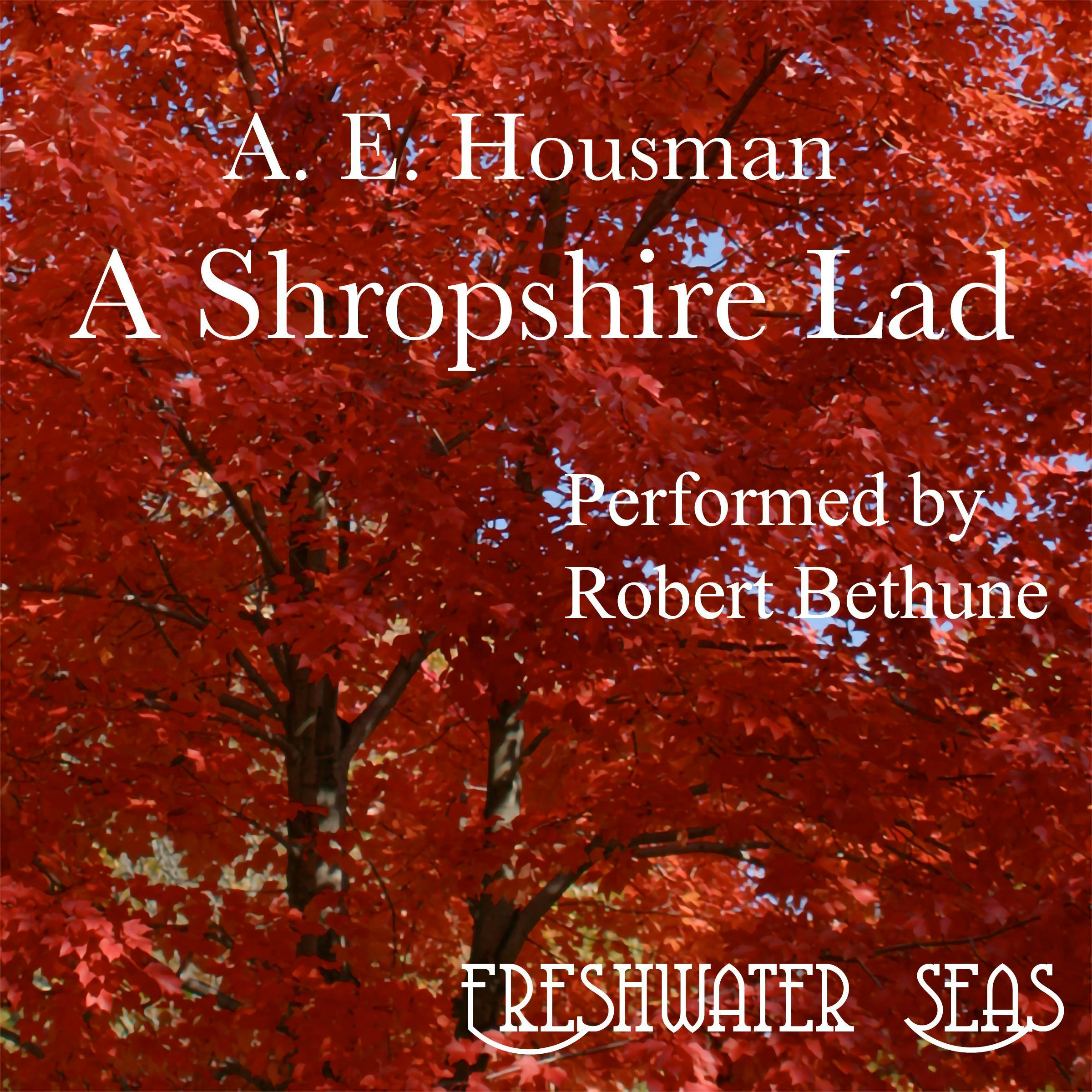 Last Poems: Poetry of A.E. Housman - A. E. Housman