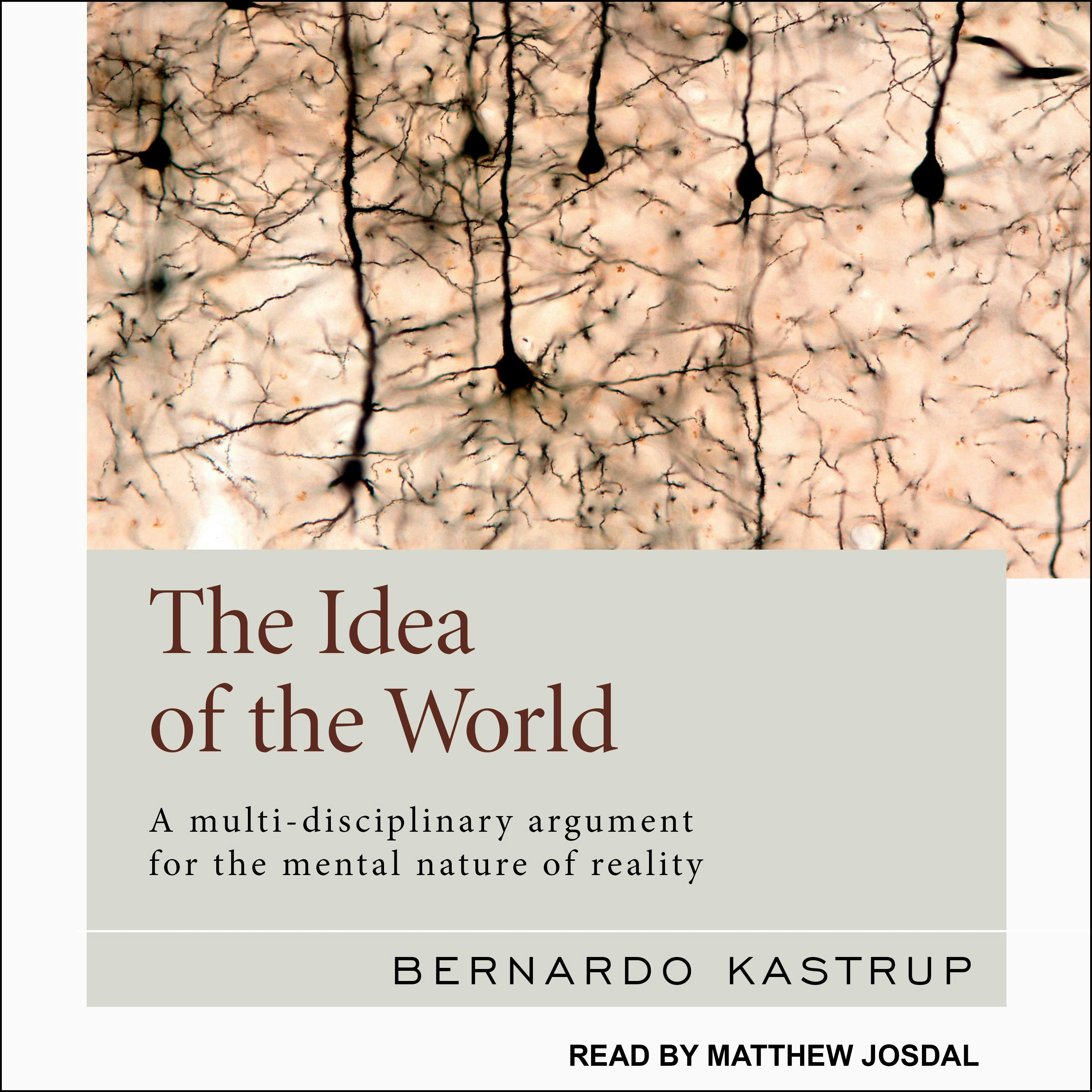 The Idea of the World: A Multi-Disciplinary Argument for the Mental Nature of Reality - Bernardo Kastrup