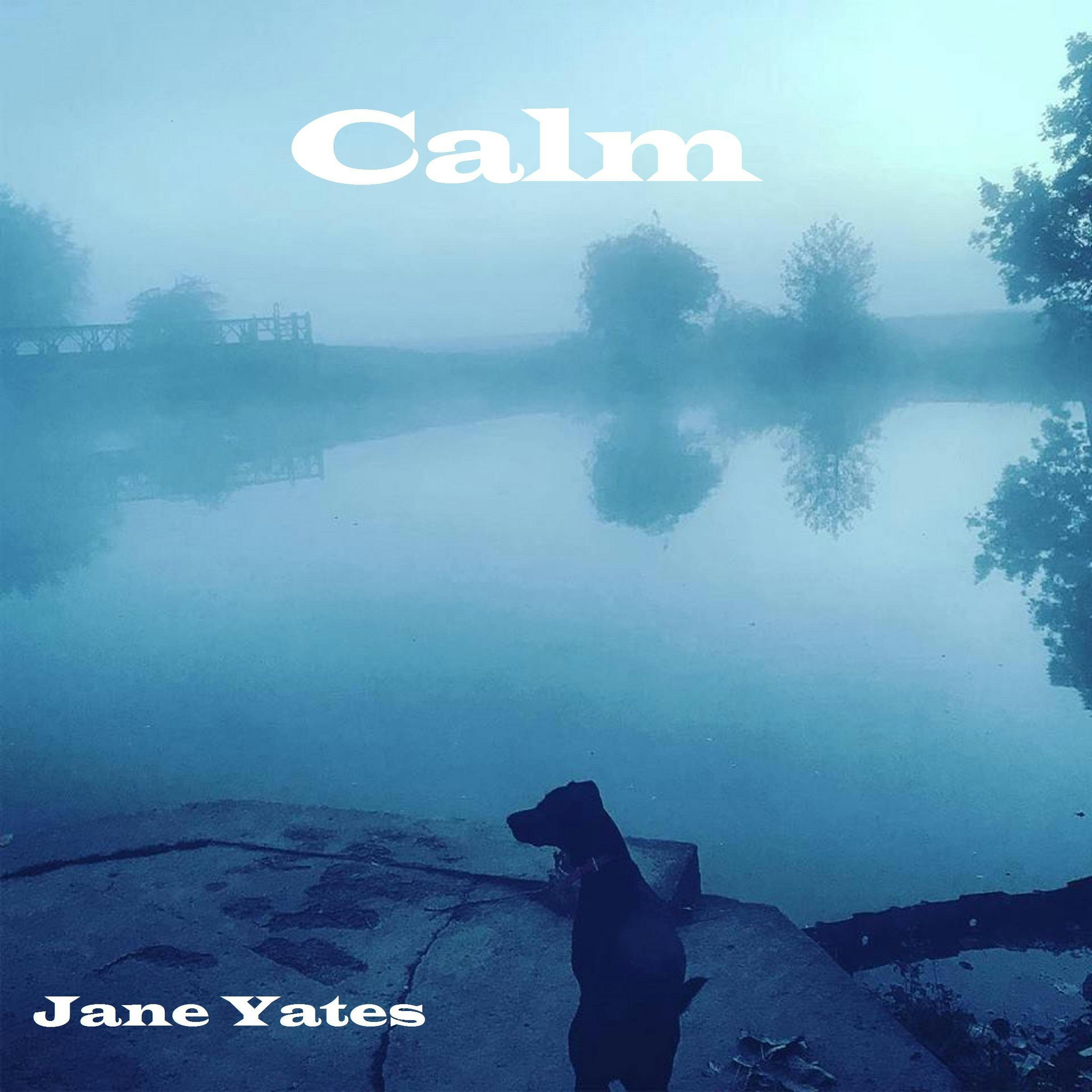 Calm: Guided Meditation to Help You Sleep - Jane Yates