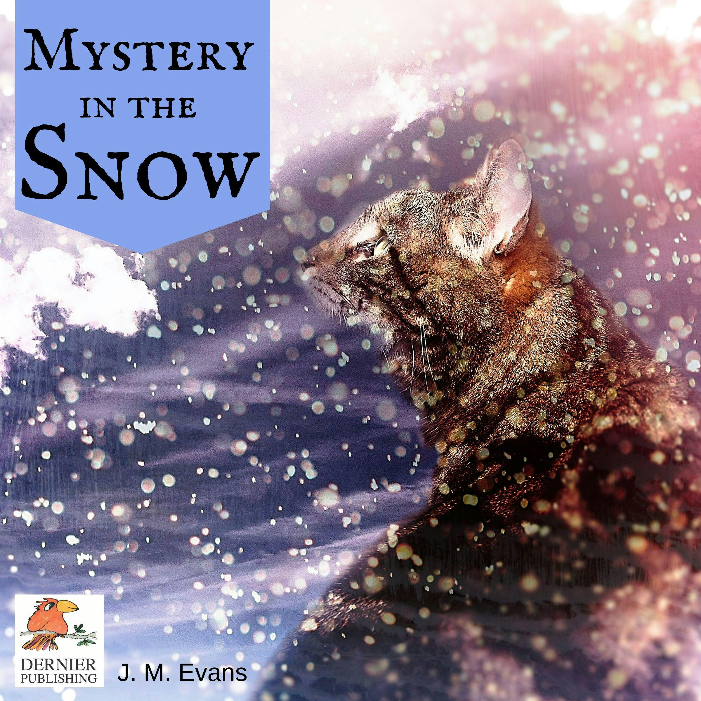 Mystery in the Snow - J. M. Evans