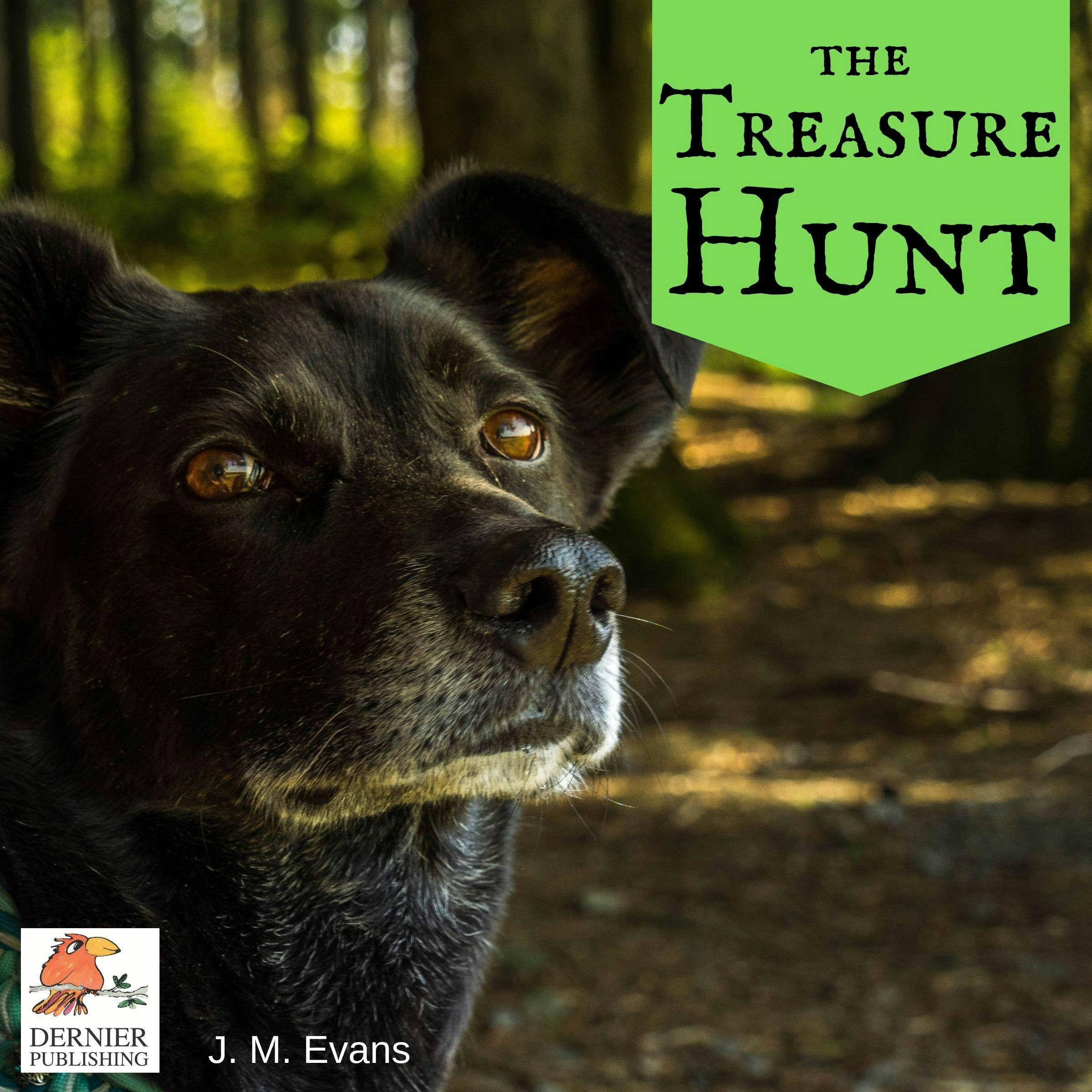 The Treasure Hunt - undefined