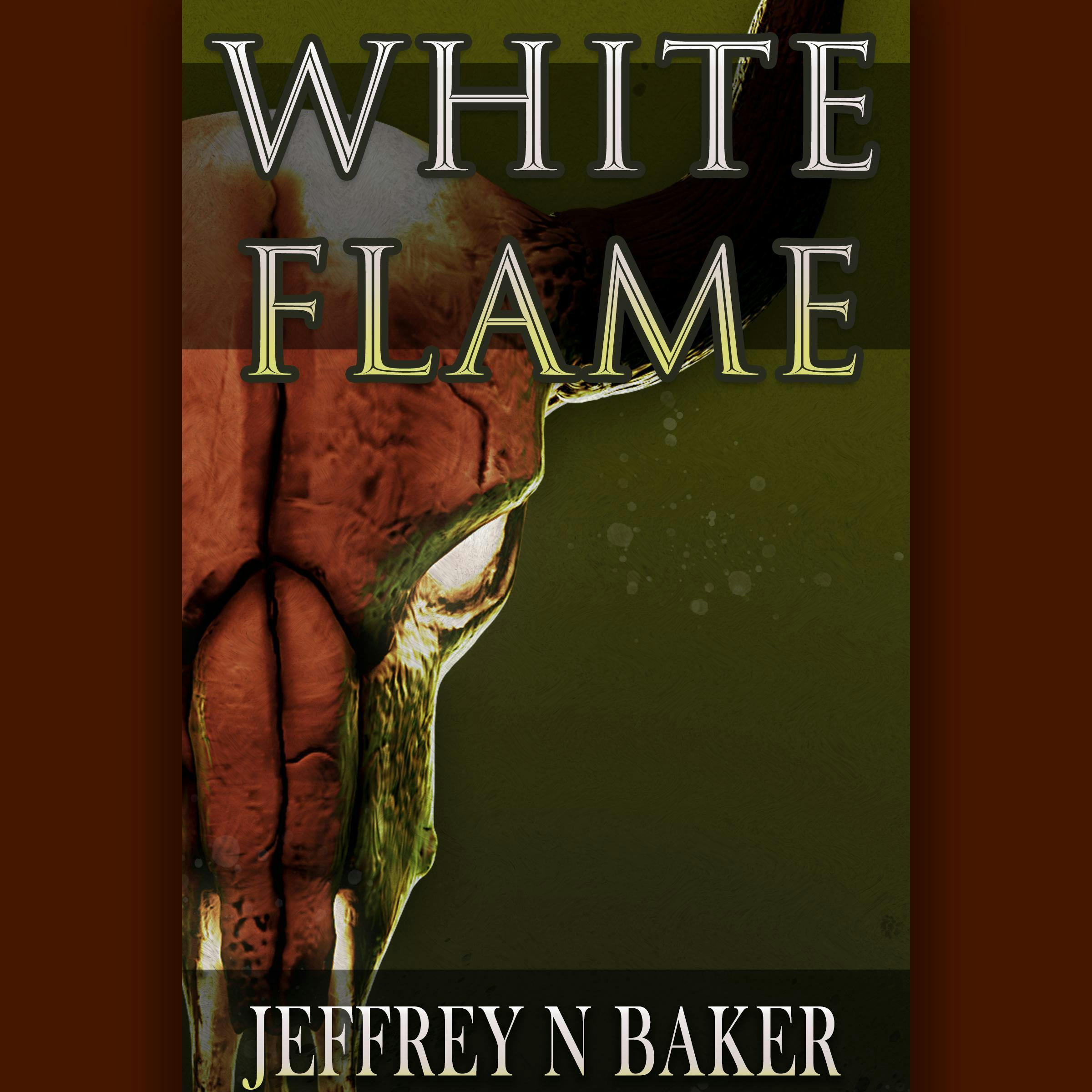White Flame - Jeffrey N. Baker