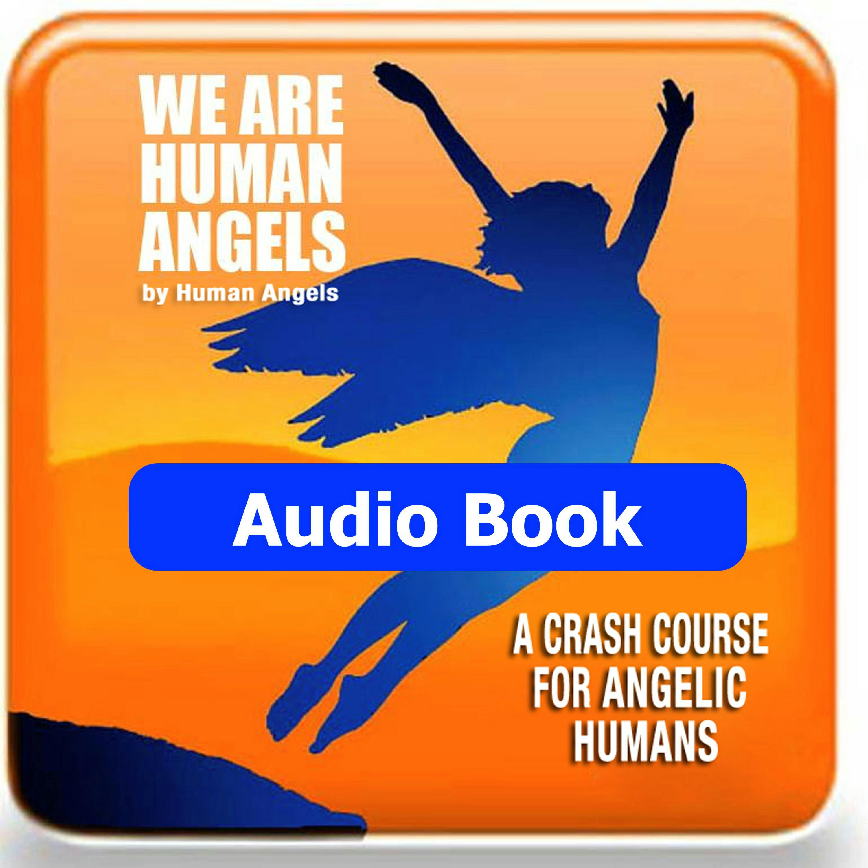 We Are Human Angels: A Crash Course For Angelic Humans - Human Angels